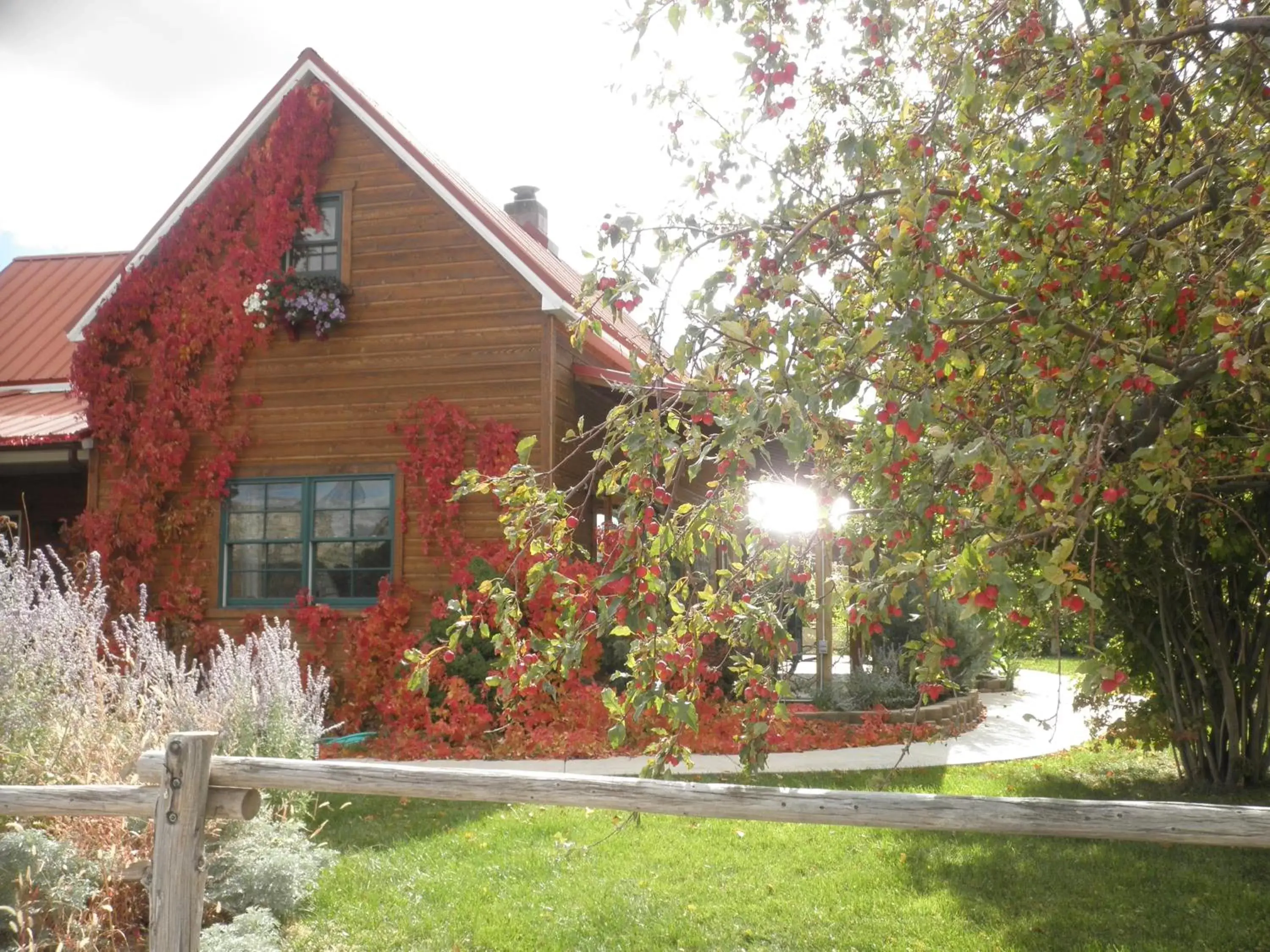 Property Building in The Loubird Inn