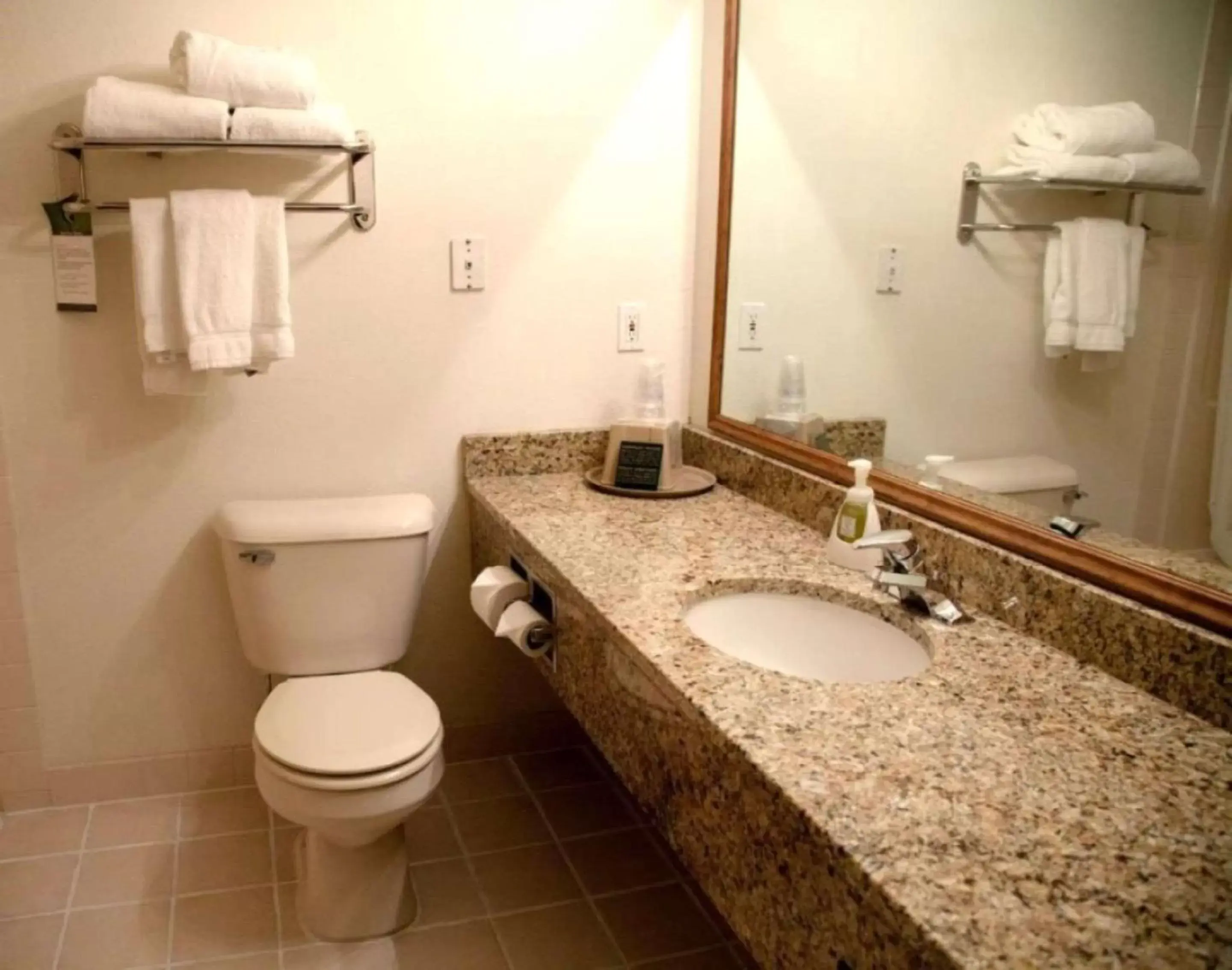 Toilet, Bathroom in Comfort Inn & Suites at I-74 and 155