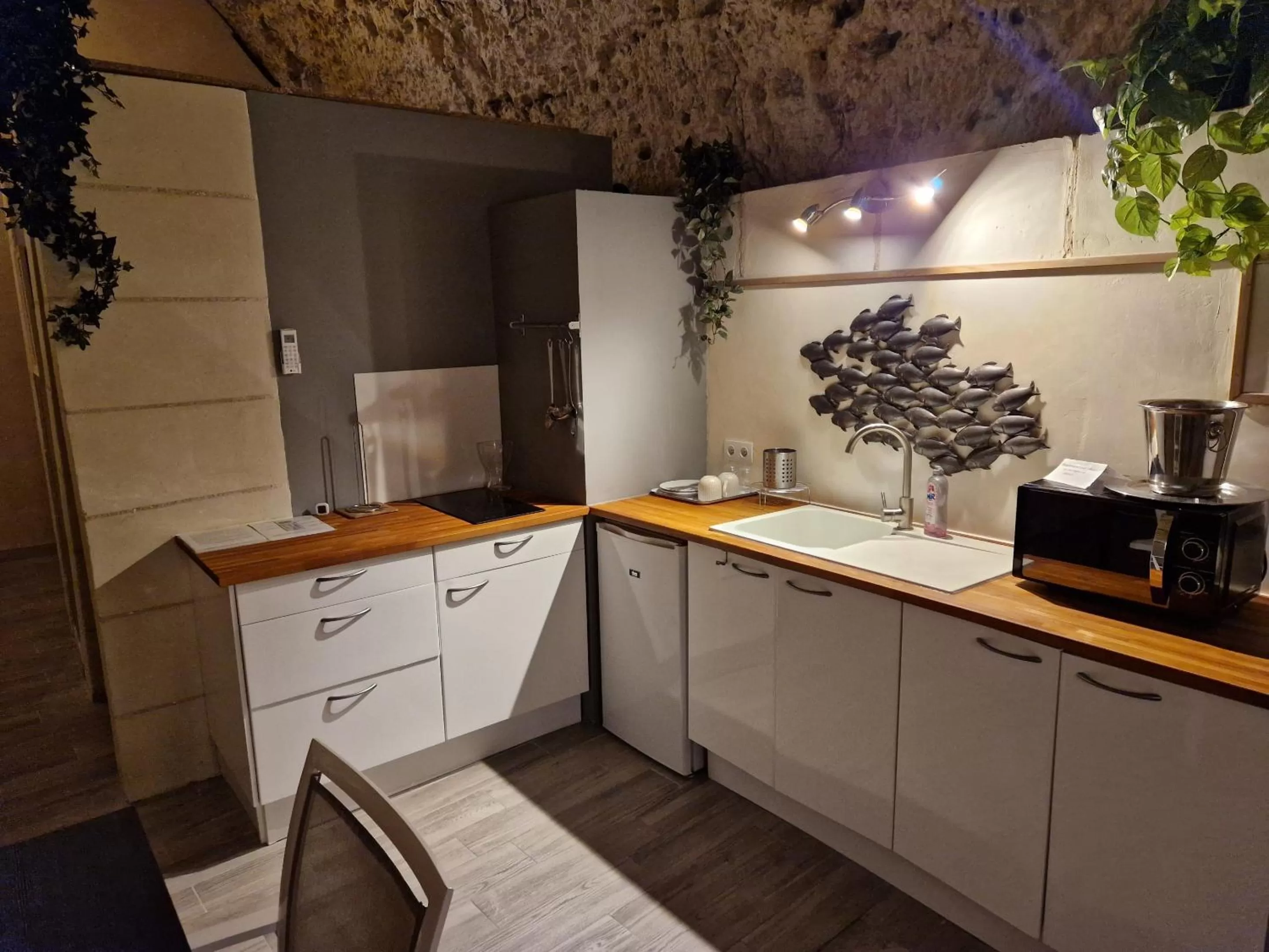 Kitchen or kitchenette in Chambres d'Hôtes Troglodytes Le Clos de L'Hermitage