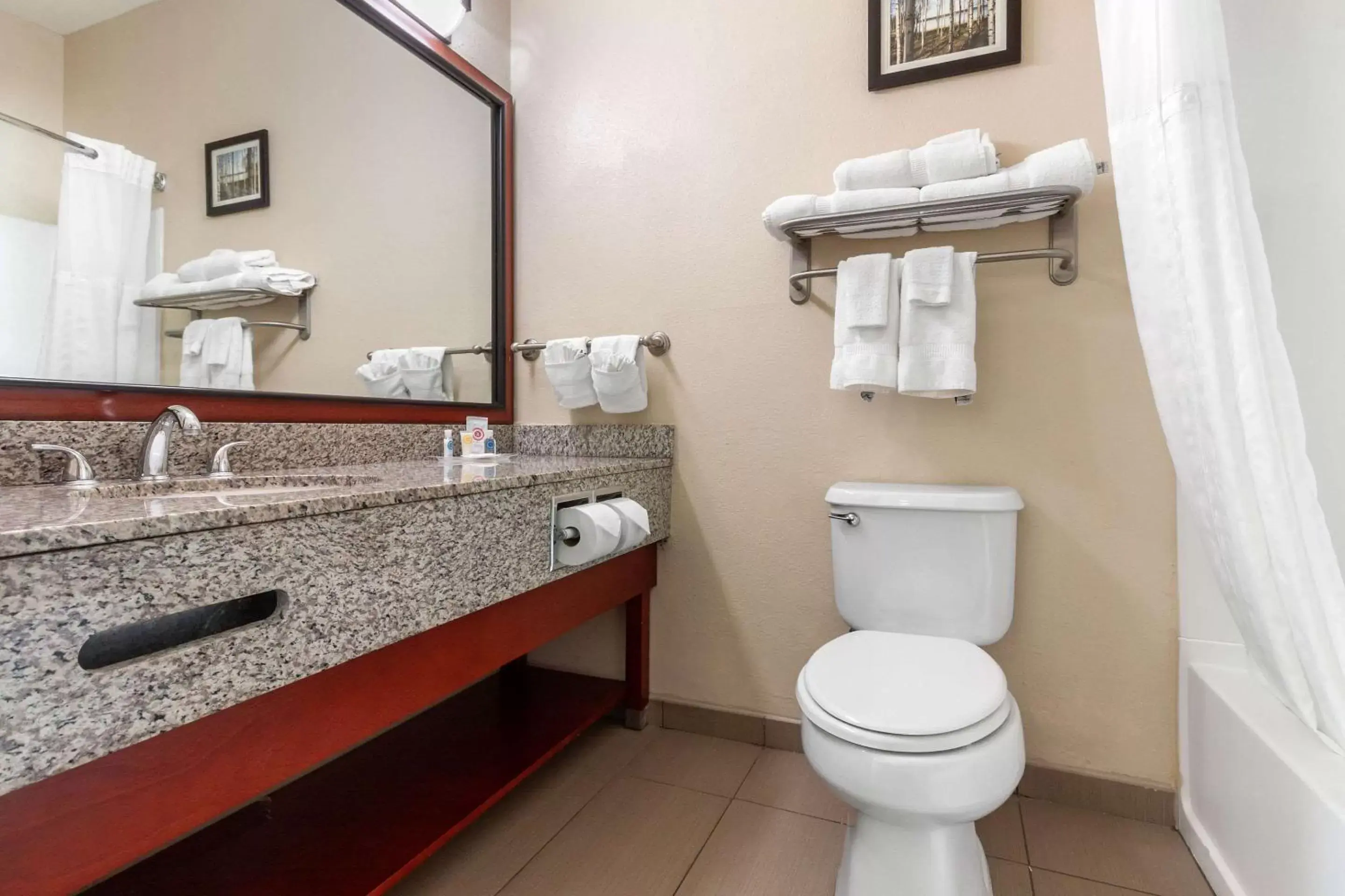 Toilet, Bathroom in Comfort Suites Omaha East-Council Bluffs