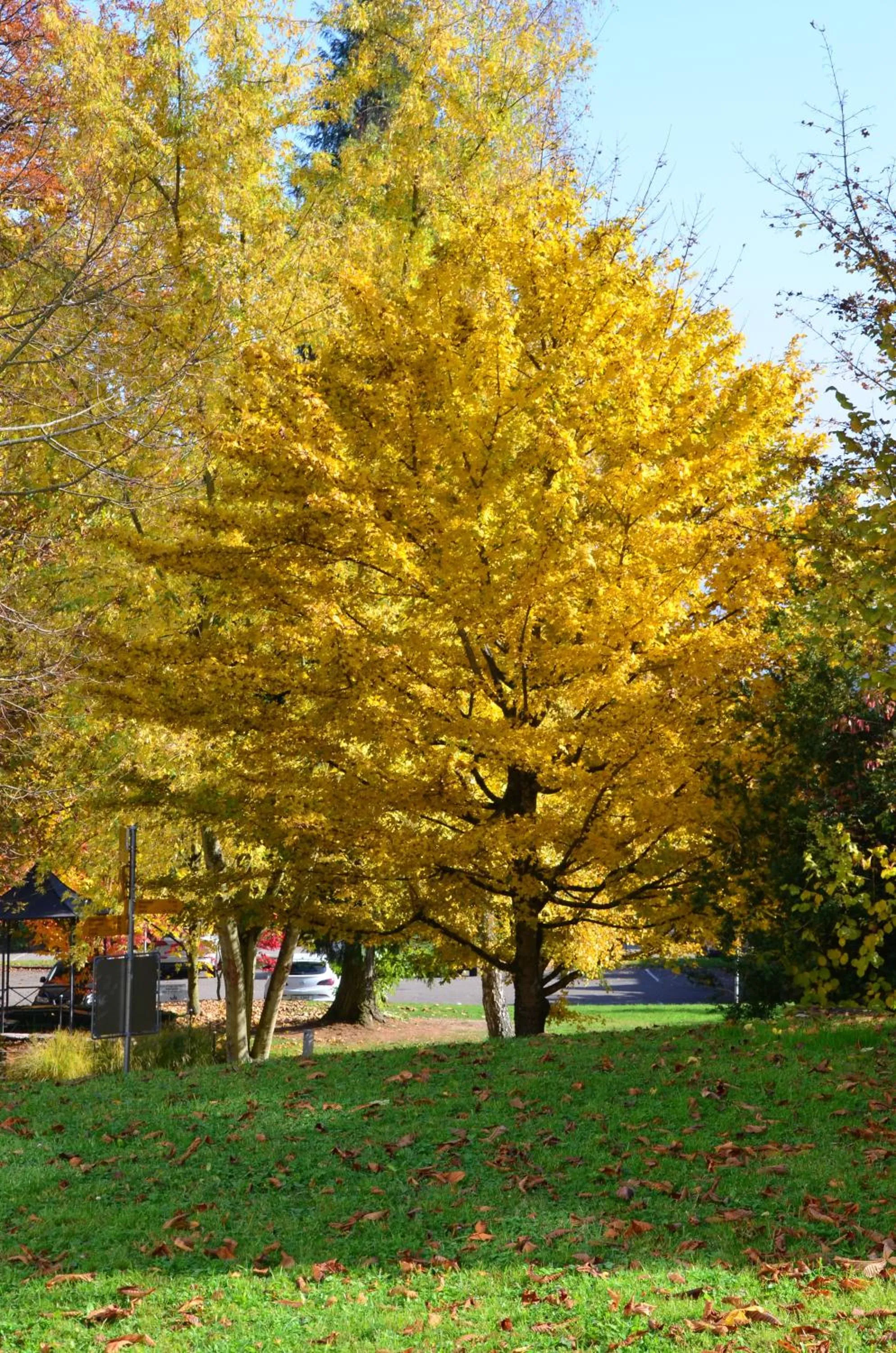 Day in Bad Schauenburg