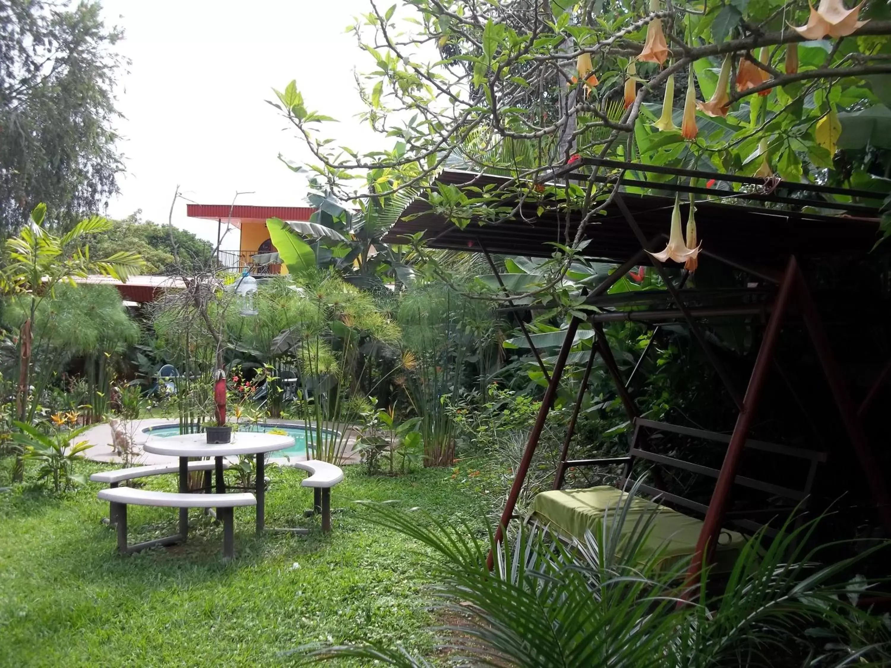 Swimming pool, Garden in Villa Pacande Bed and FreeBreakfast