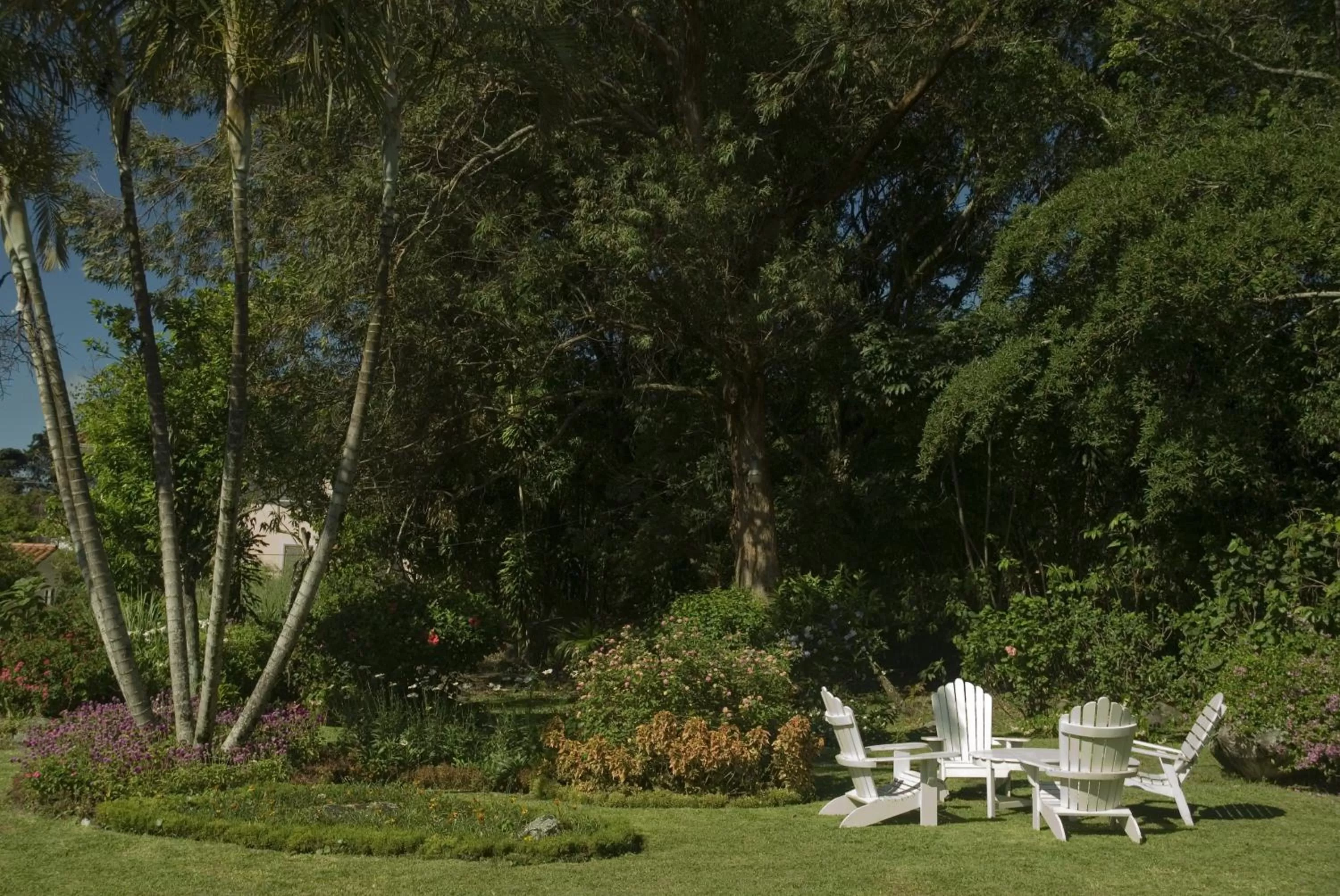 Patio in Hotel Panamonte