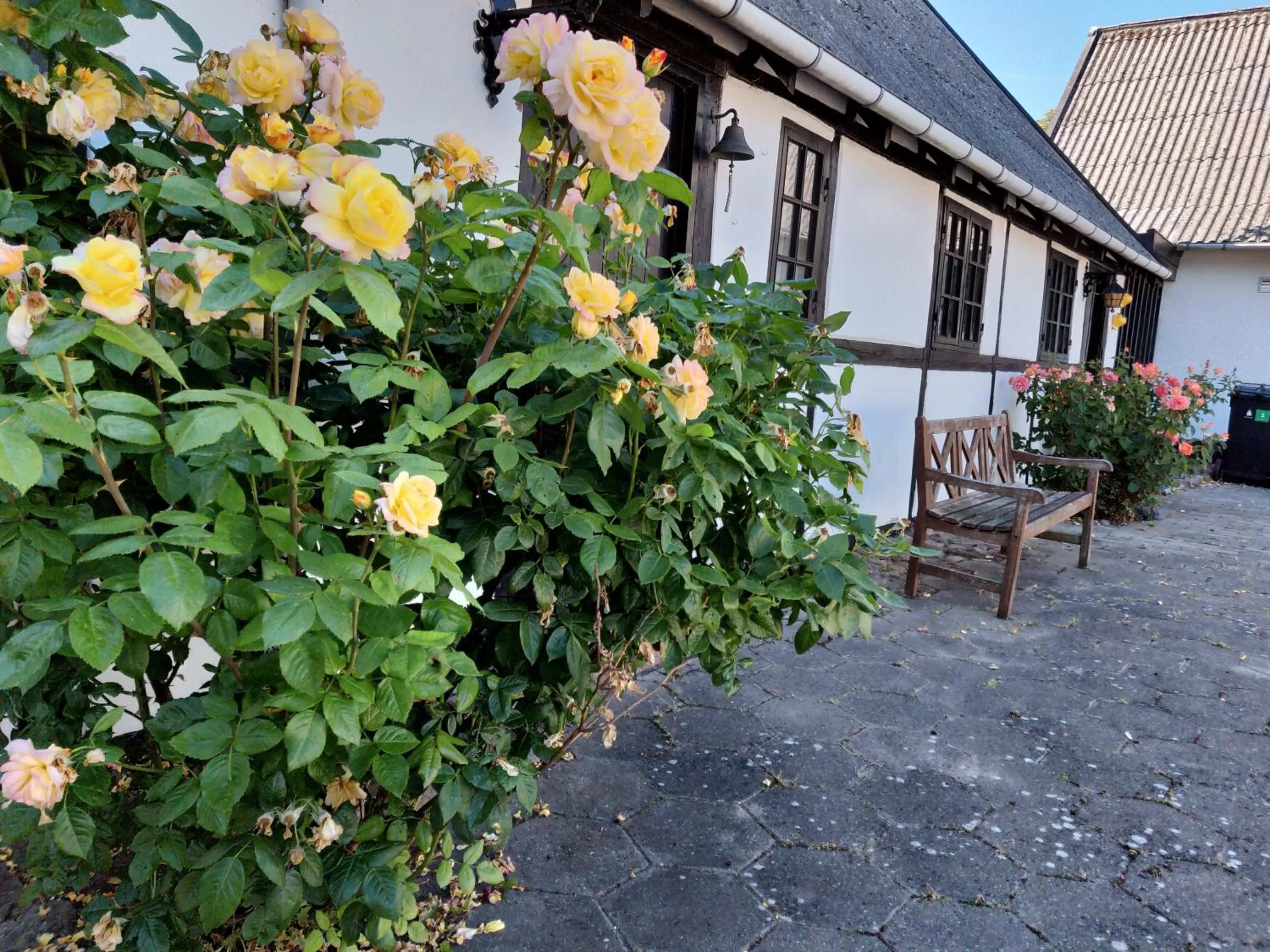 Garden in Dåstrup Bed & Breakfast