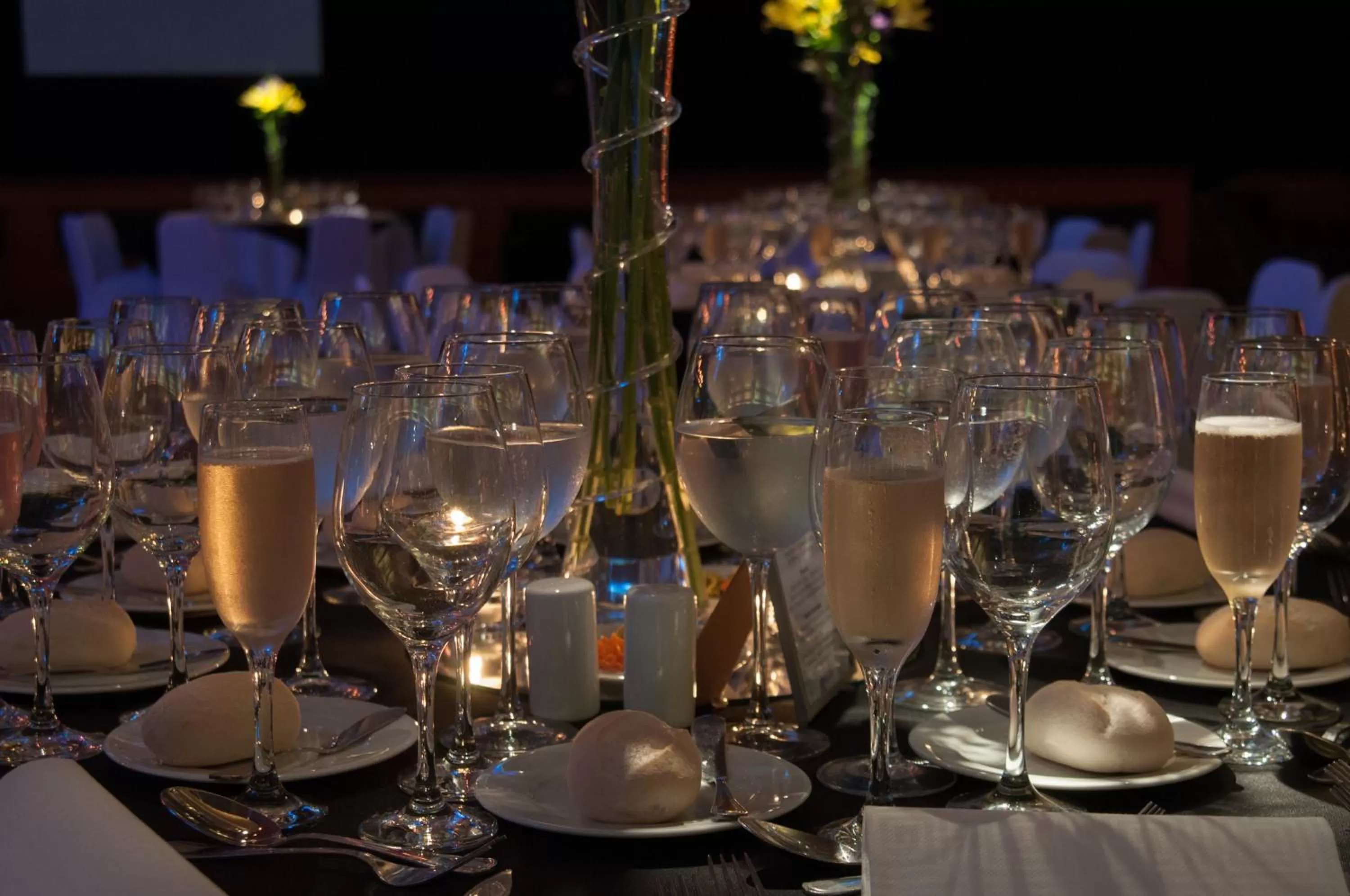 Banquet/Function facilities in Hotel Enjoy Pucón