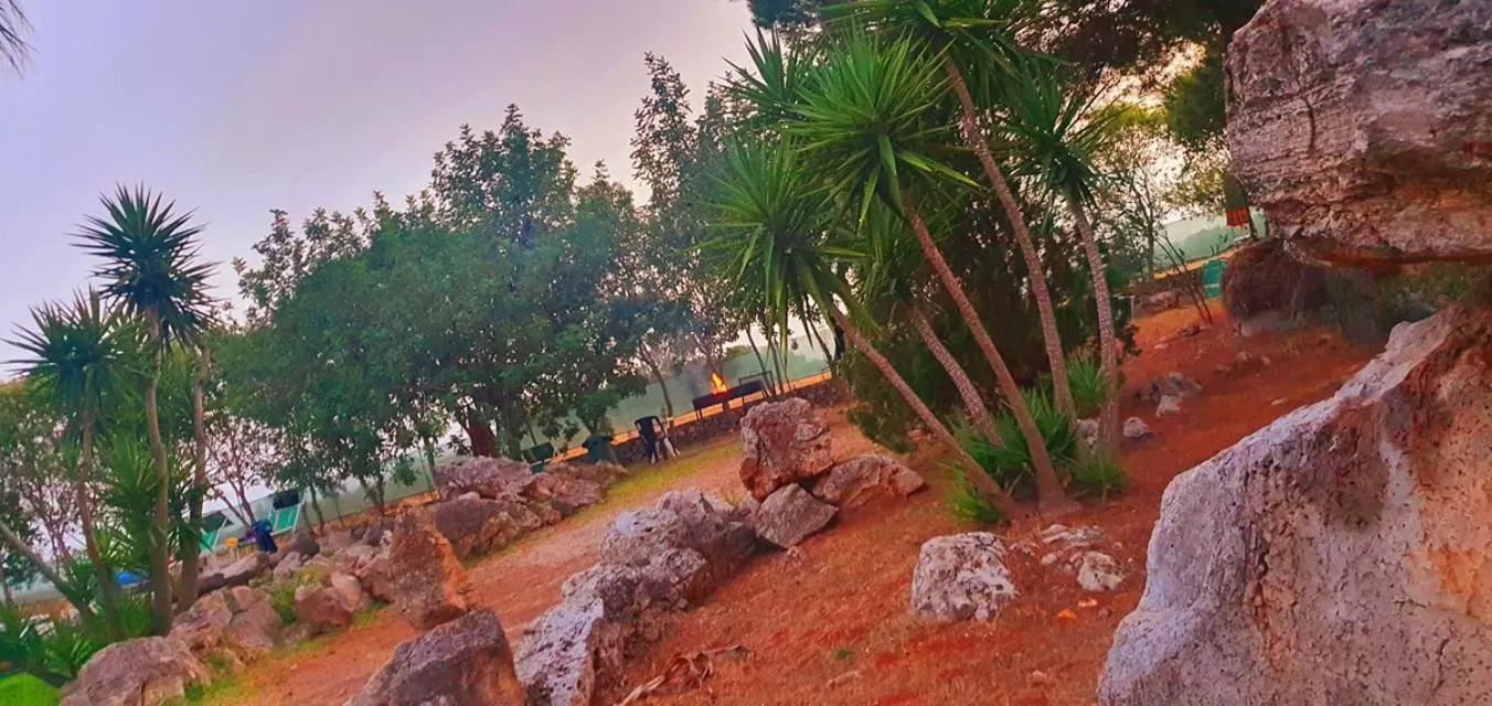 BBQ facilities in Grikò Country Hotel