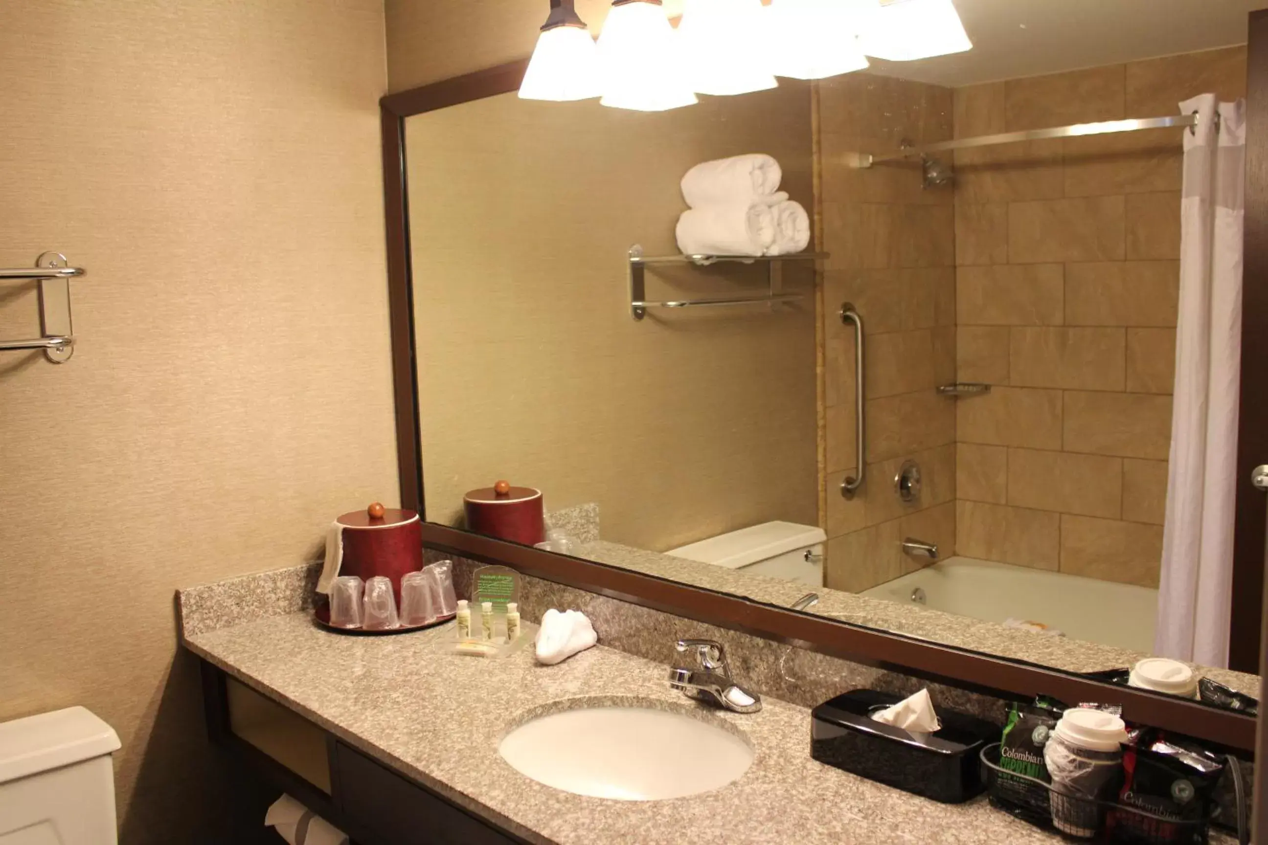 Bathroom in Holiday Inn Chicago Matteson Conference Center, an IHG Hotel