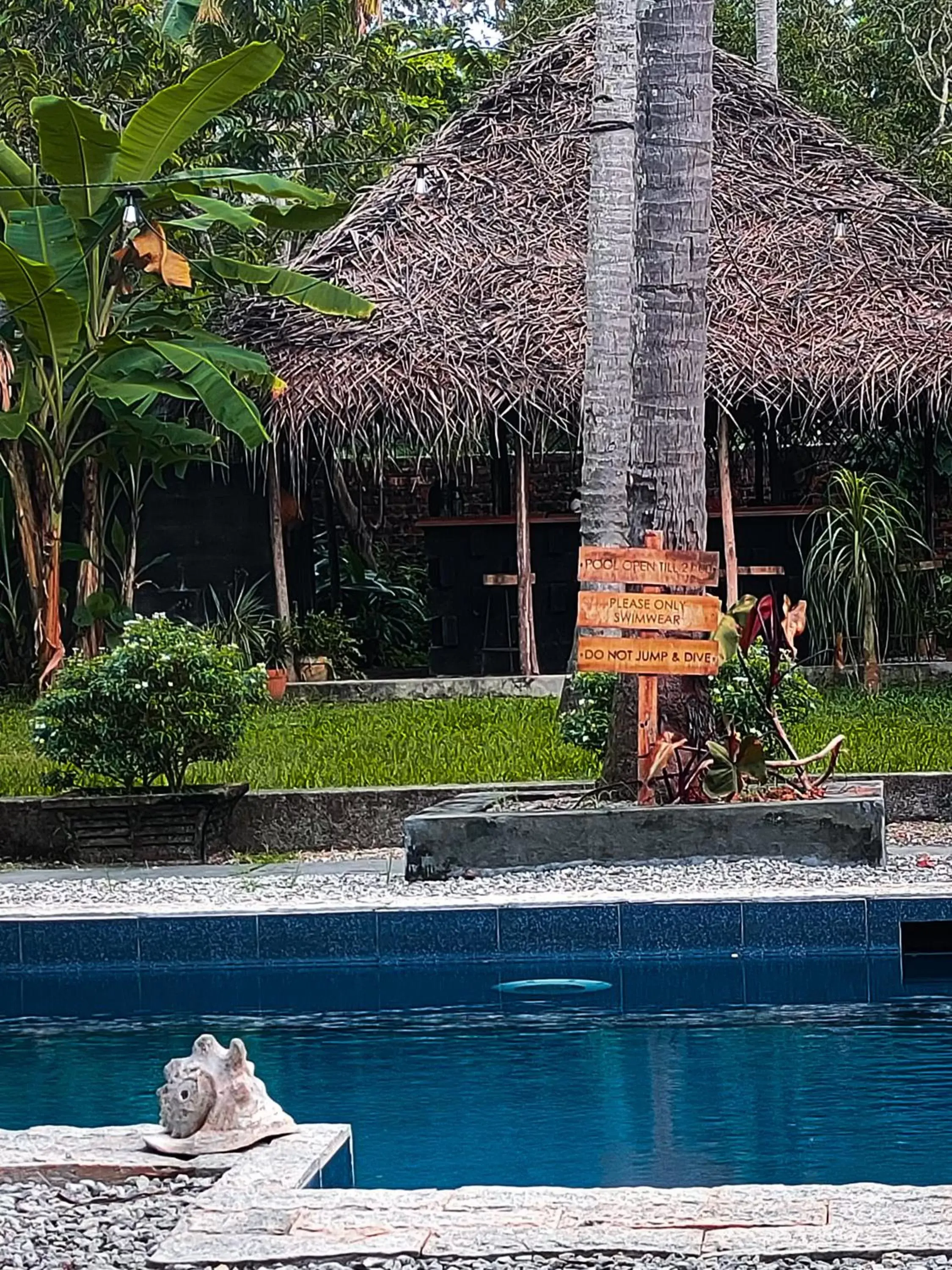 Restaurant/places to eat, Swimming Pool in Satta Beach Residence Restaurant/places to eat, Swimming Pool in Satta Beach Residence