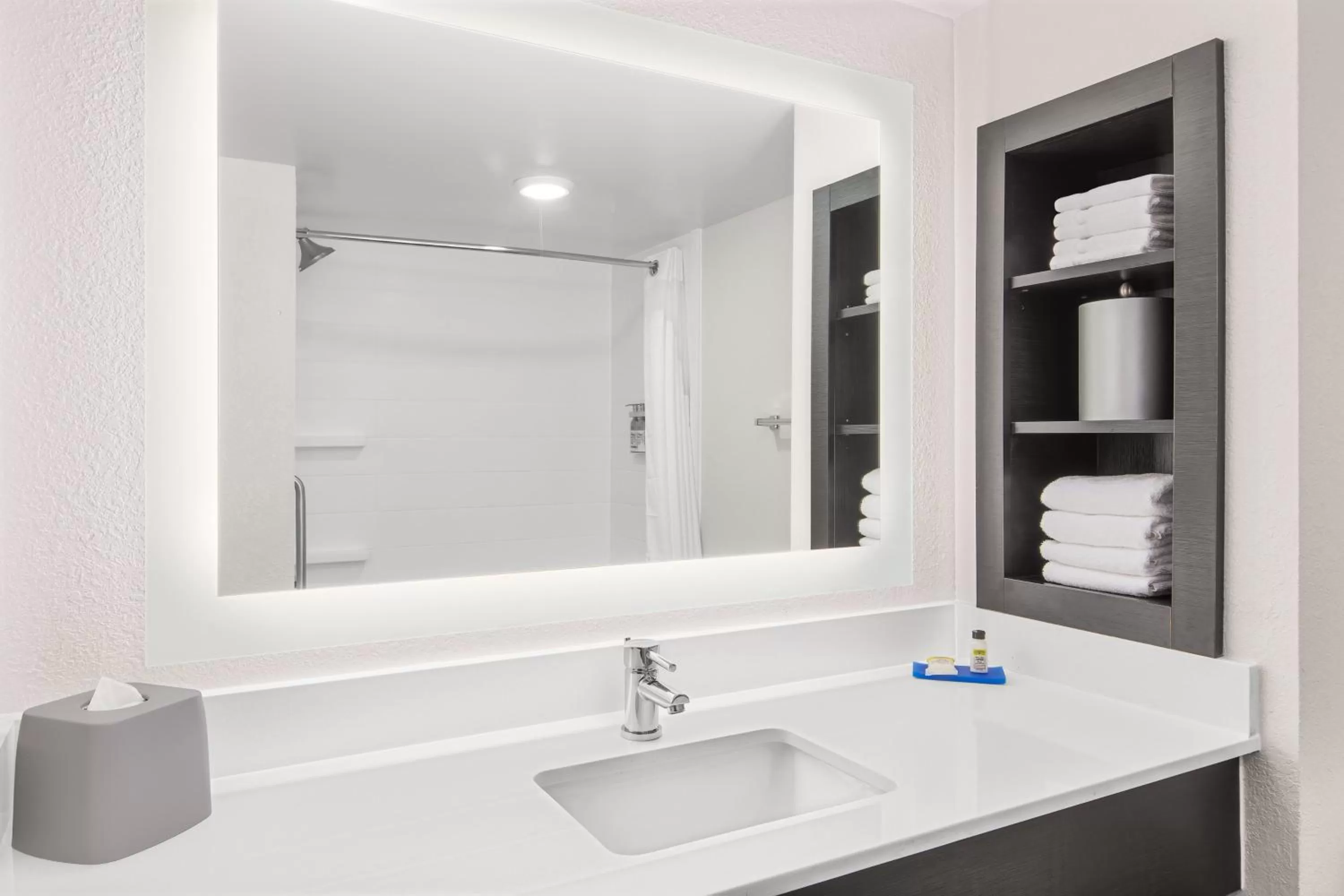 Bathroom in Holiday Inn Express & Suites Greenville-I-85 & Woodruff Rd by IHG