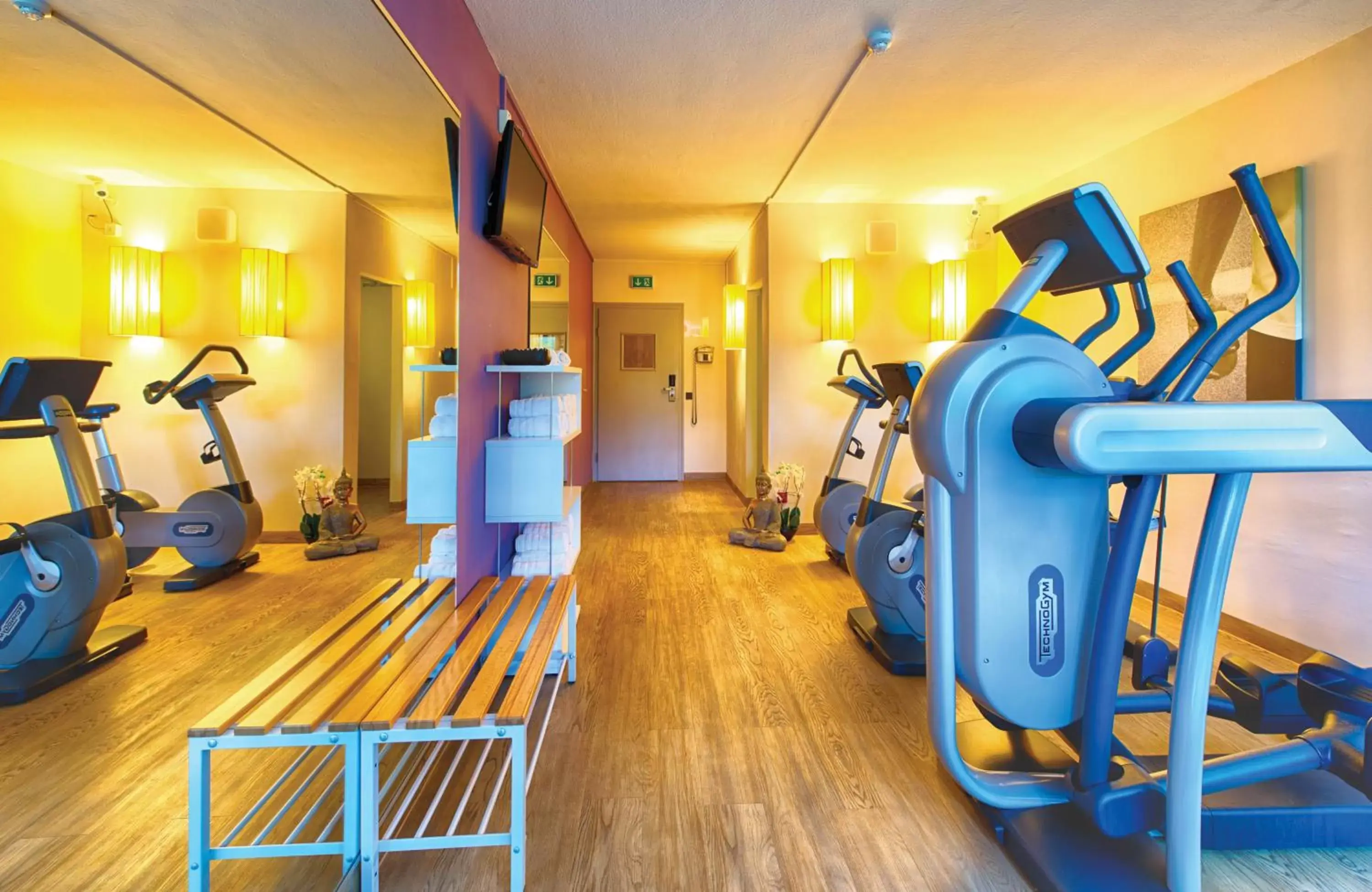 Fitness centre/facilities, Fitness Center/Facilities in Leonardo Hotel Heidelberg Walldorf