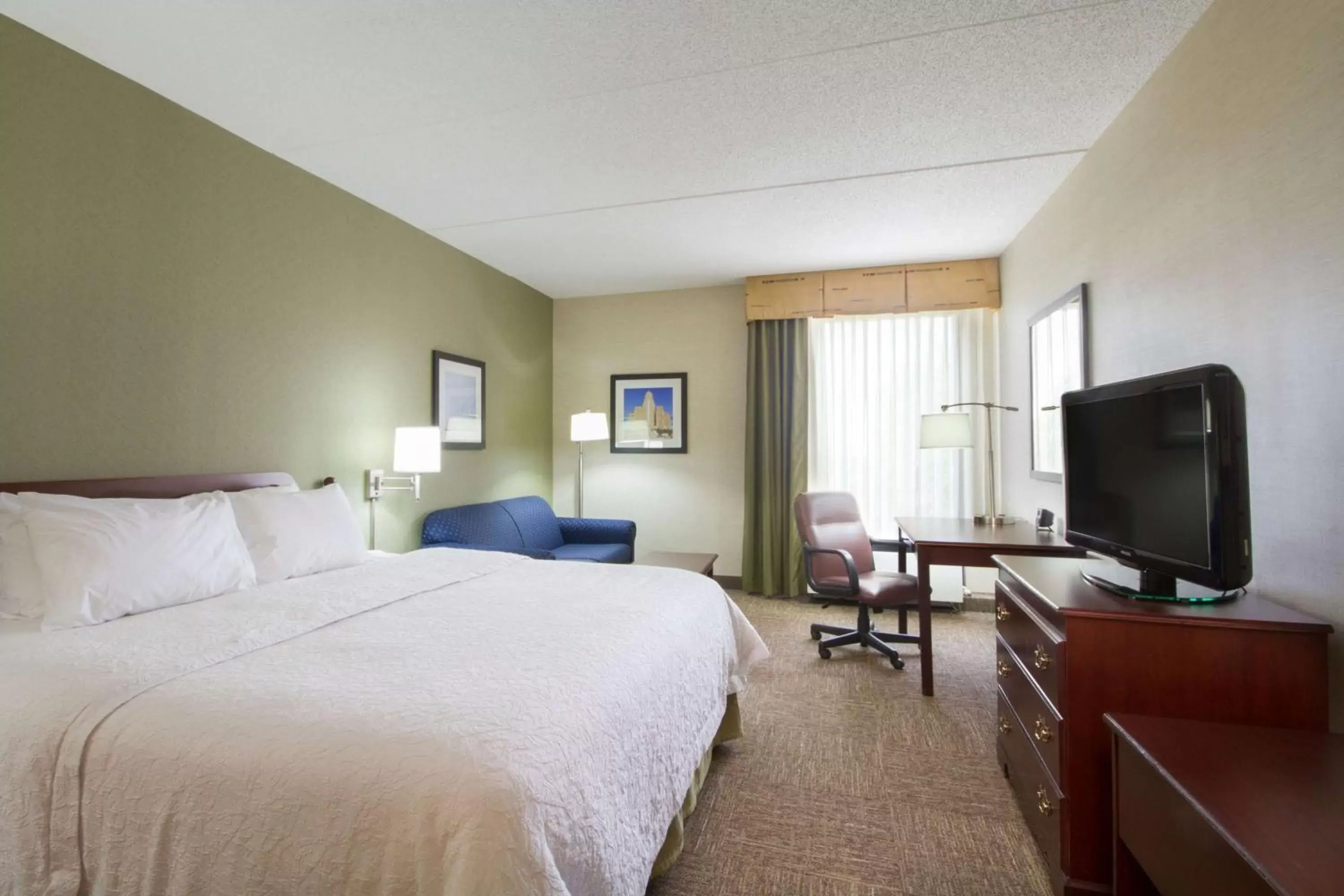 Bedroom, TV/Entertainment Center in Hampton Inn Buffalo-South/I-90