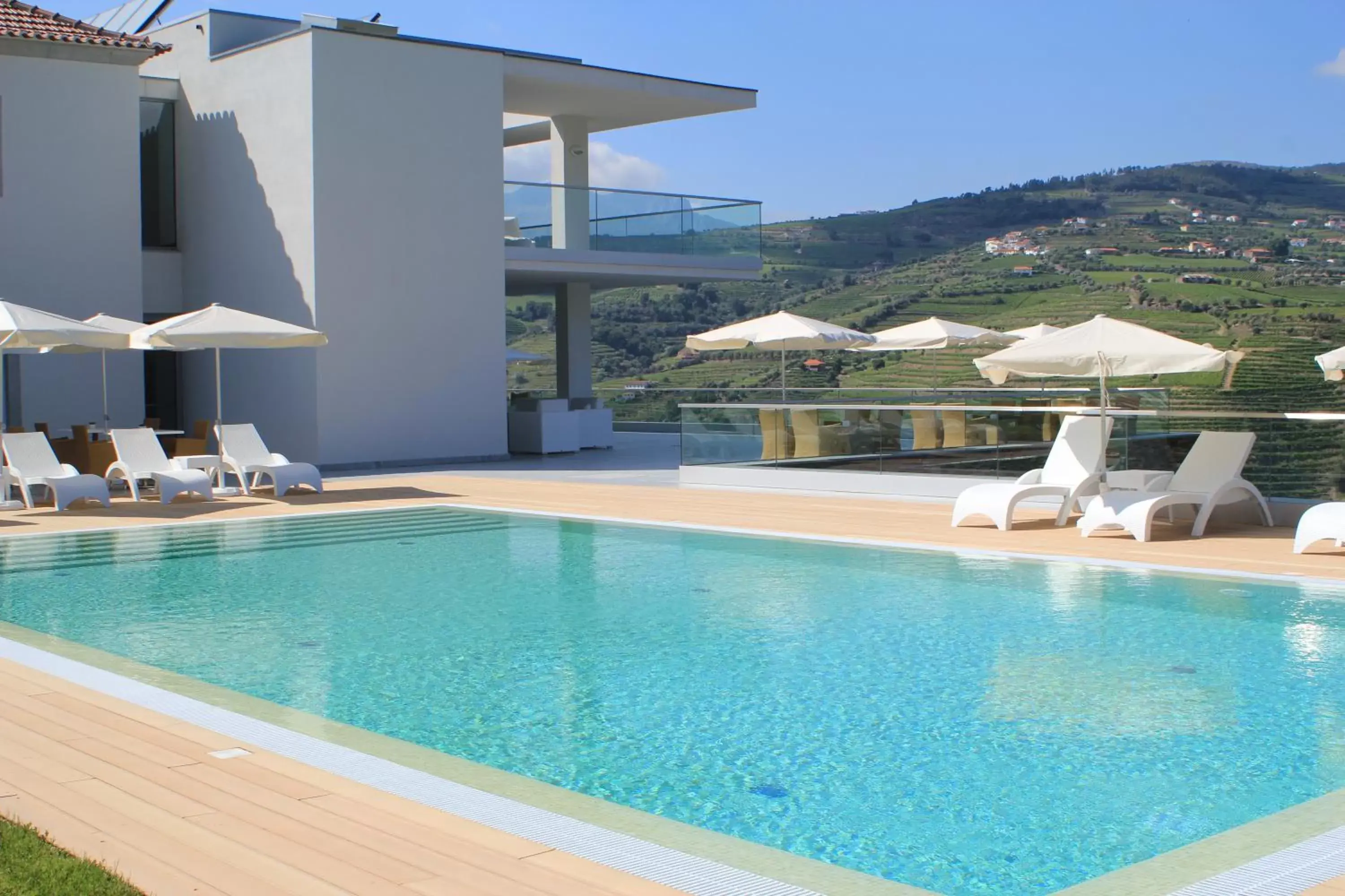 View (from property/room), Swimming Pool in Delfim Douro Hotel