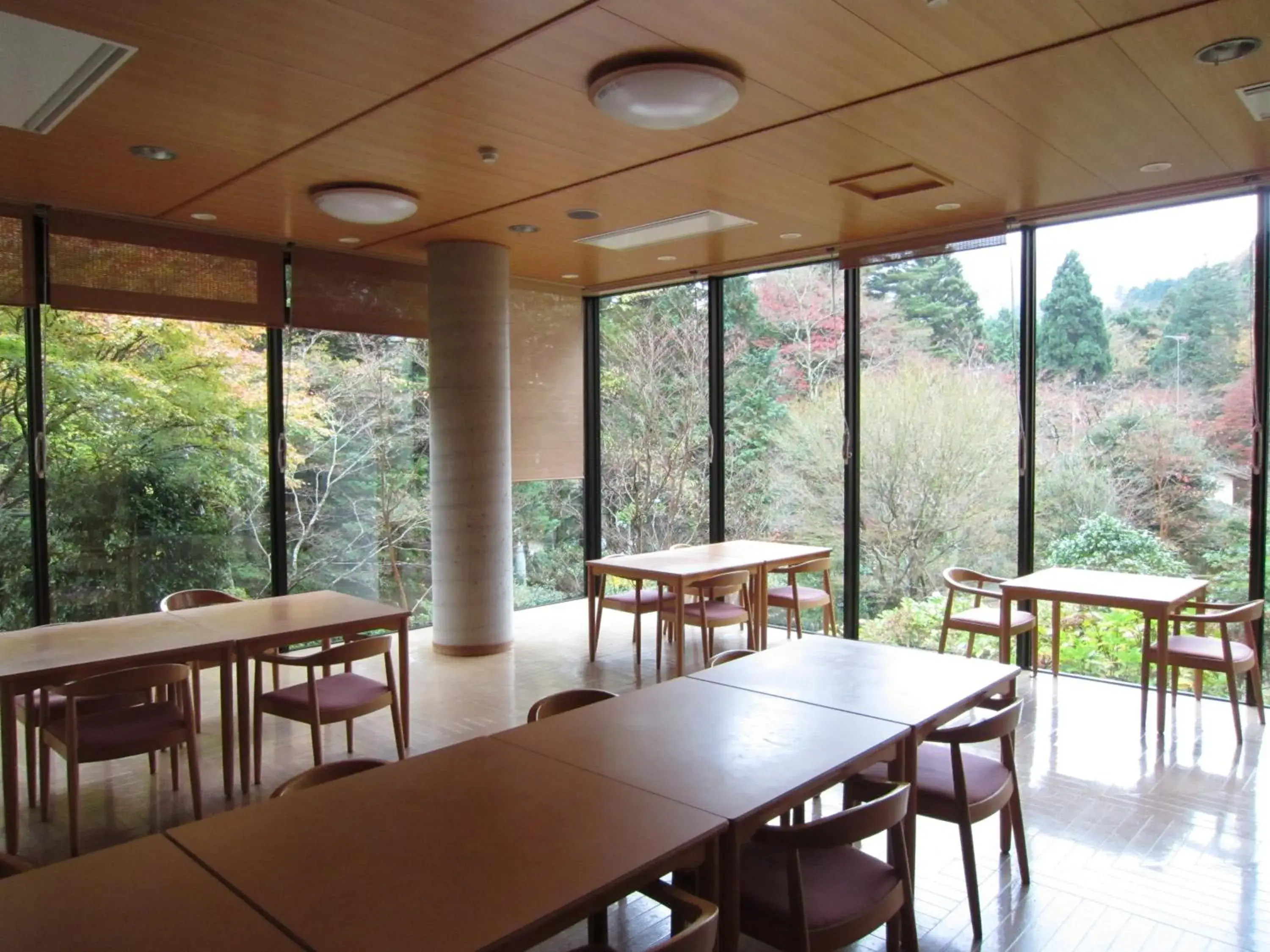 Communal lounge/ TV room, Restaurant/Places to Eat in Hakone Kowakien Miyamafurin