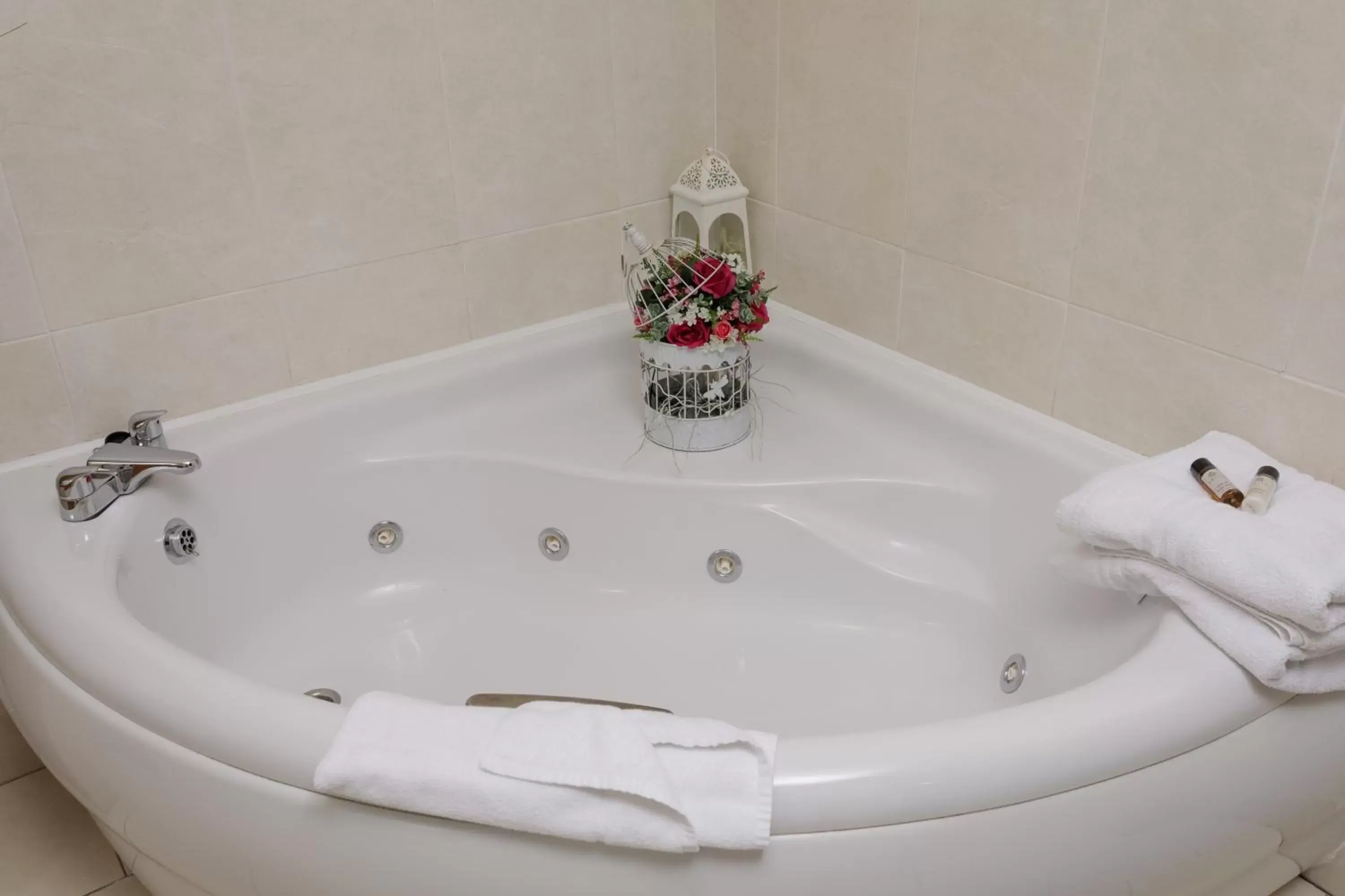 Hot Tub, Bathroom in Hamlet Court Hotel