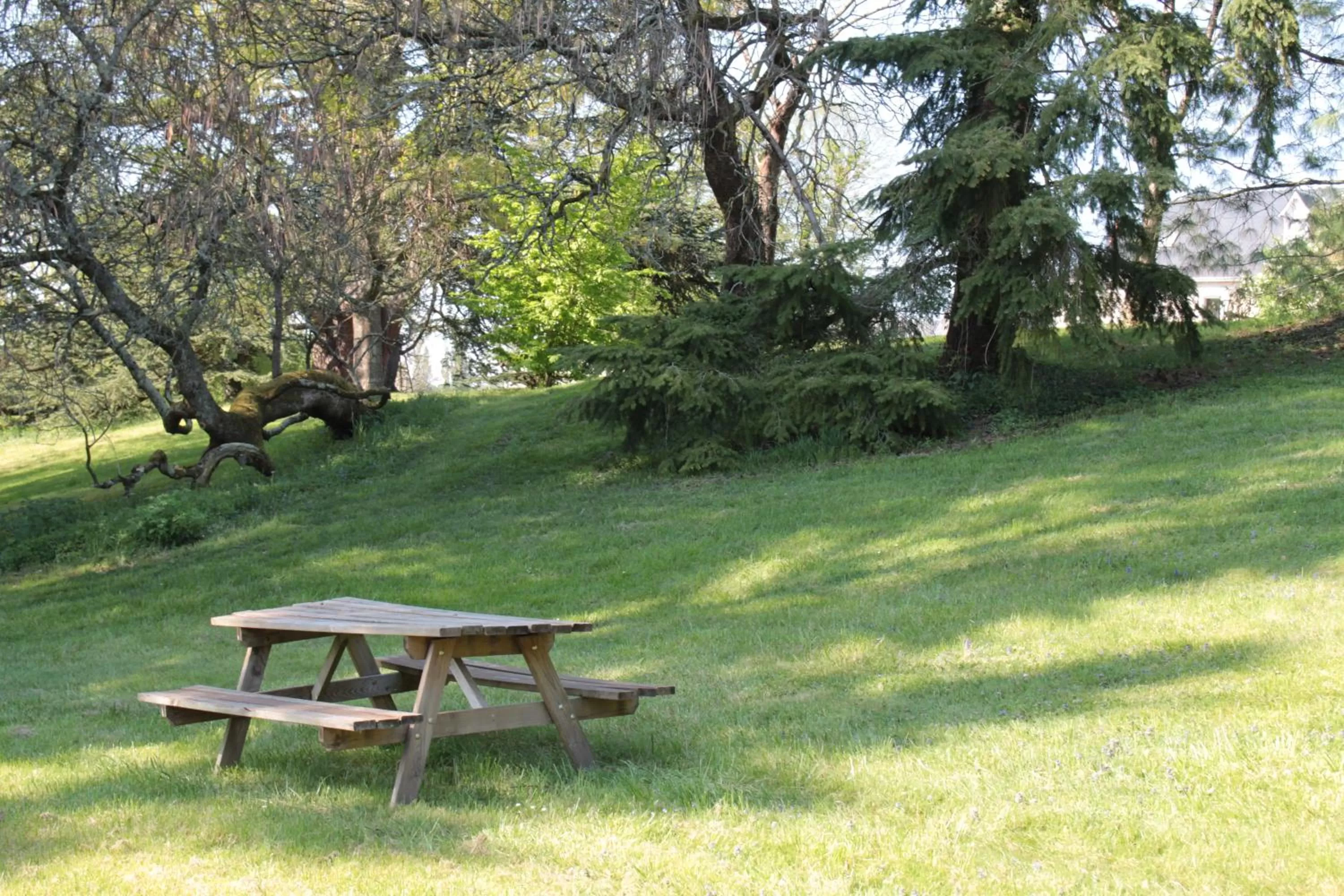 Garden in La Poignardière