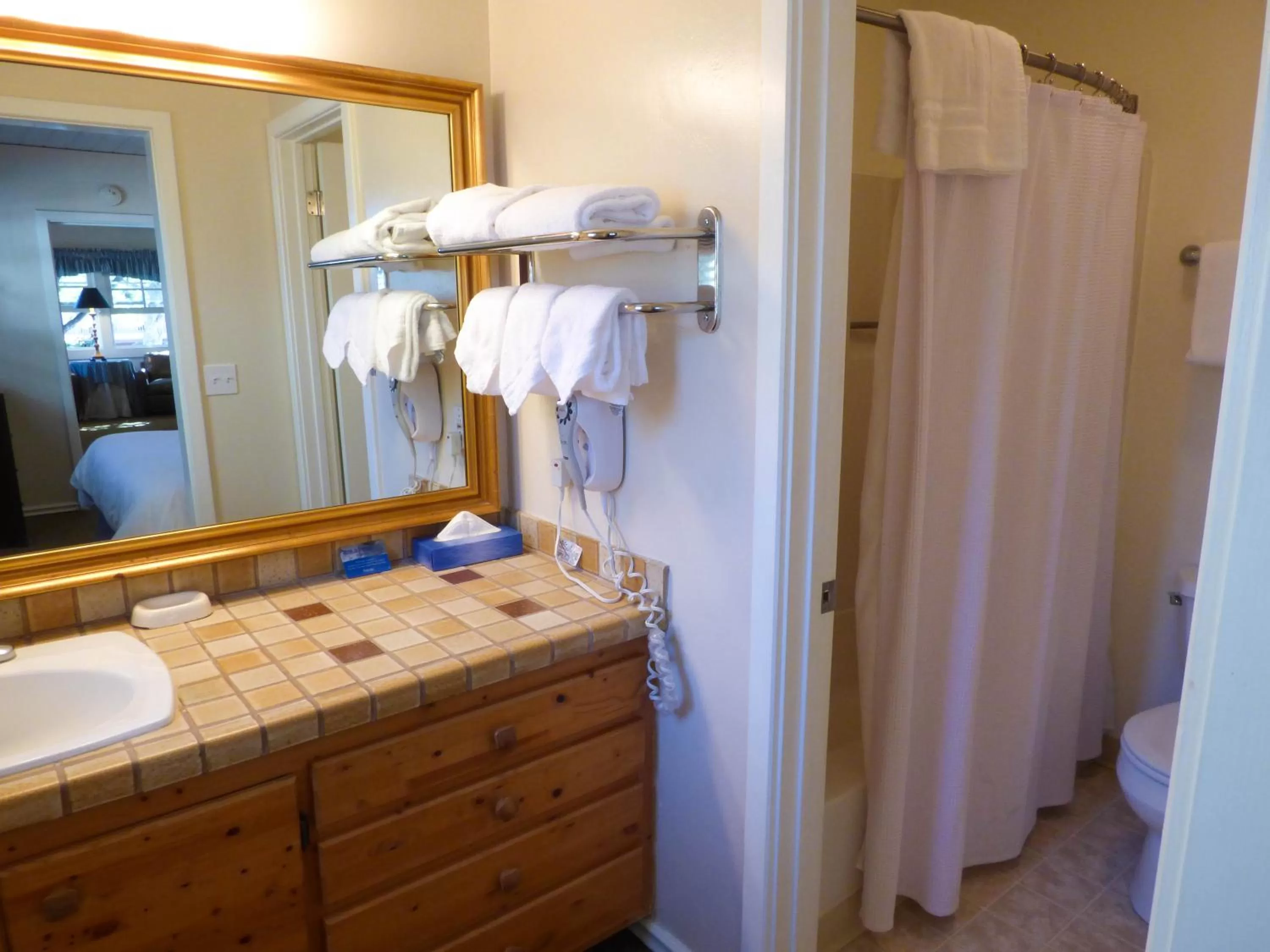 Shower in Briarwood Inn