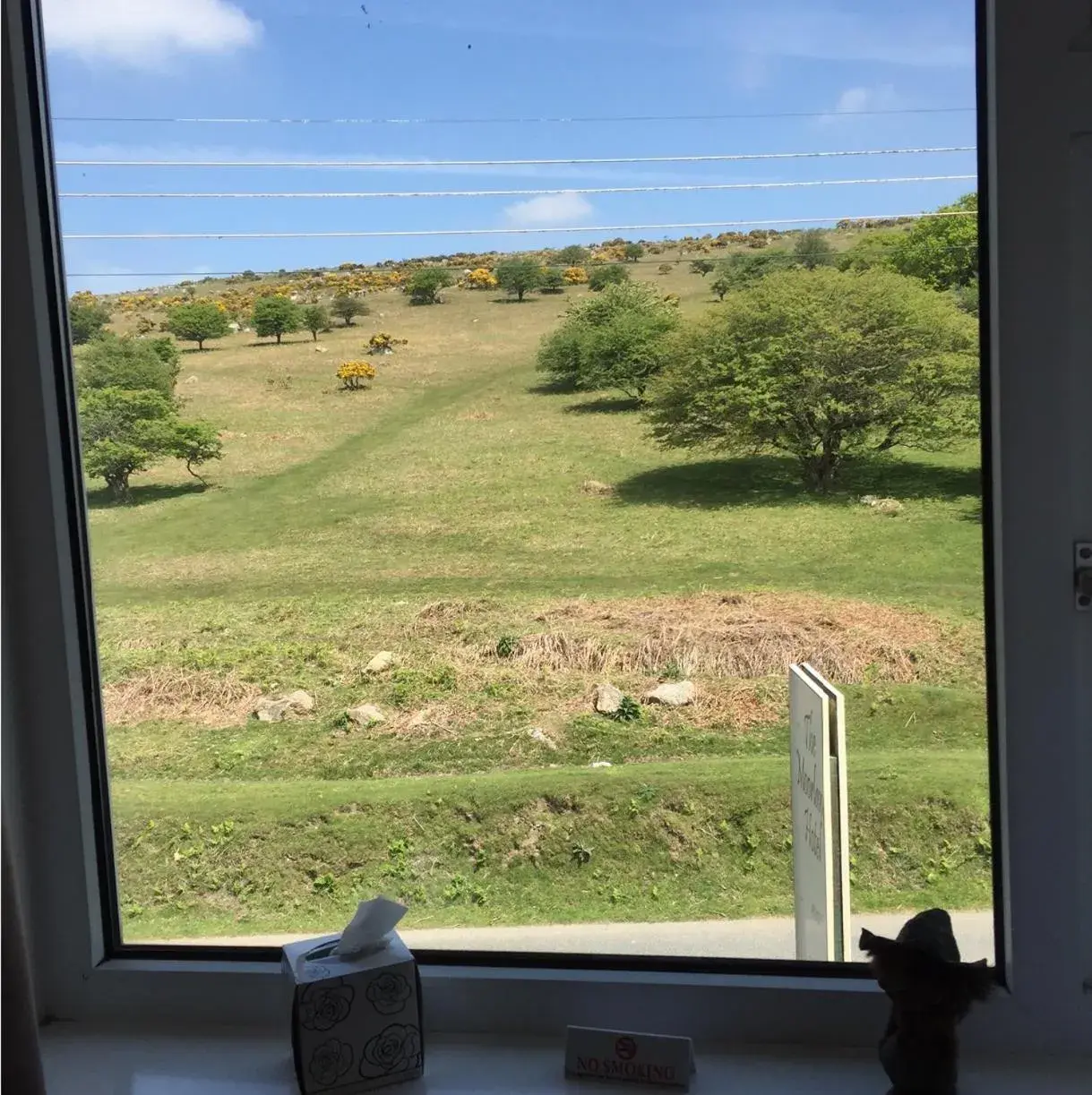 View (from property/room), Garden View in The Moorland Hotel
