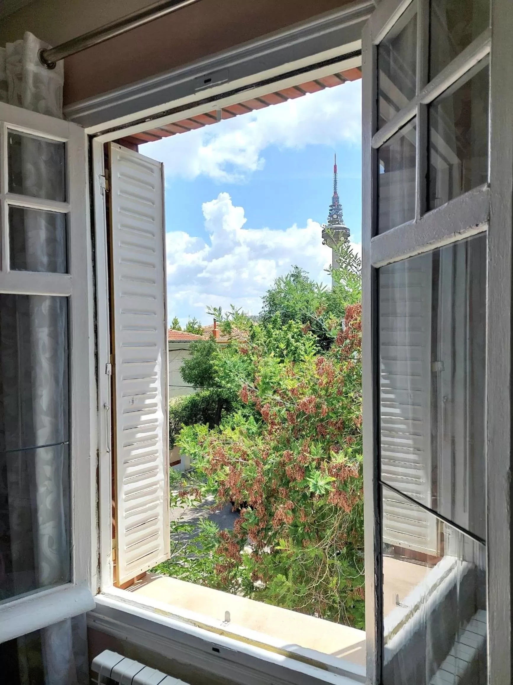 Day in N1 Casa de Madrid - greenpeace line