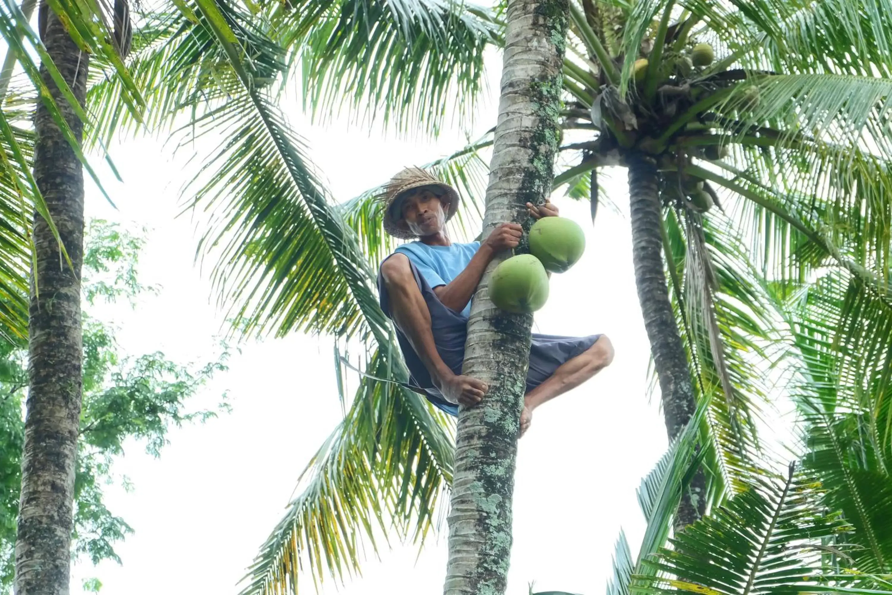 Activities in Puri Taman Sari