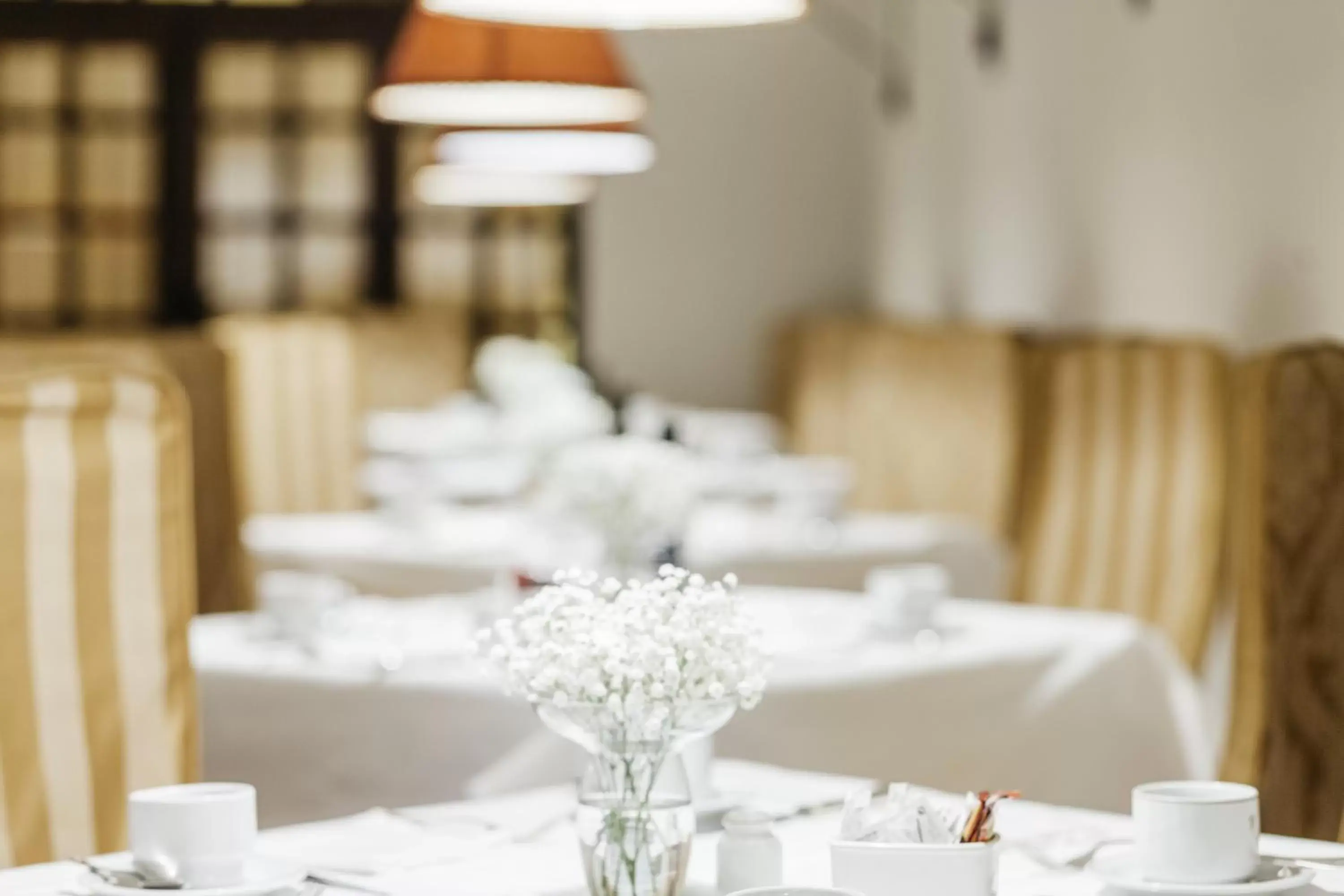 Restaurant/places to eat in Parador de Zafra Restaurant/places to eat in Parador de Zafra