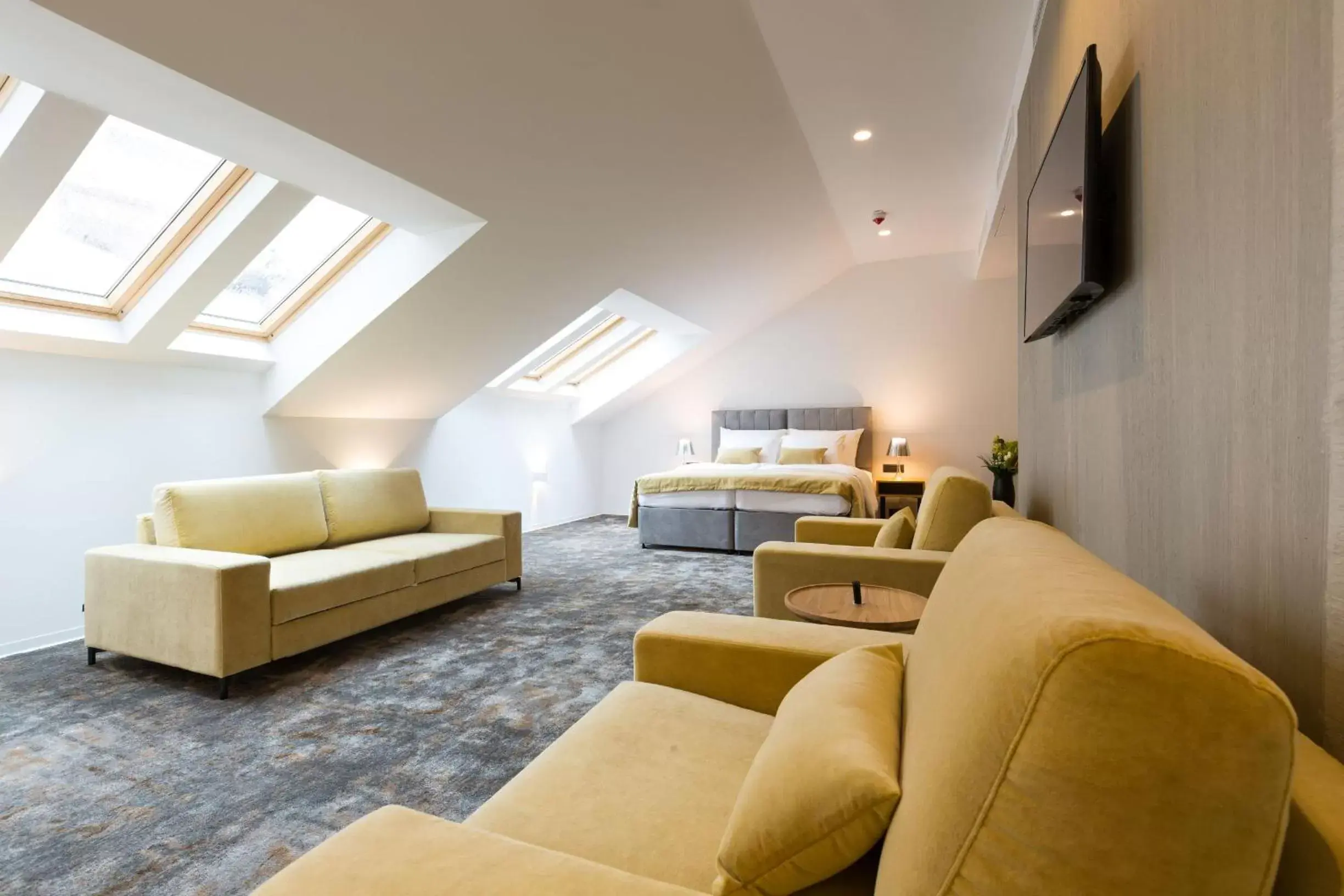 Suite - single occupancy in Boutique Hotel Museum Suite - single occupancy in Boutique Hotel Museum