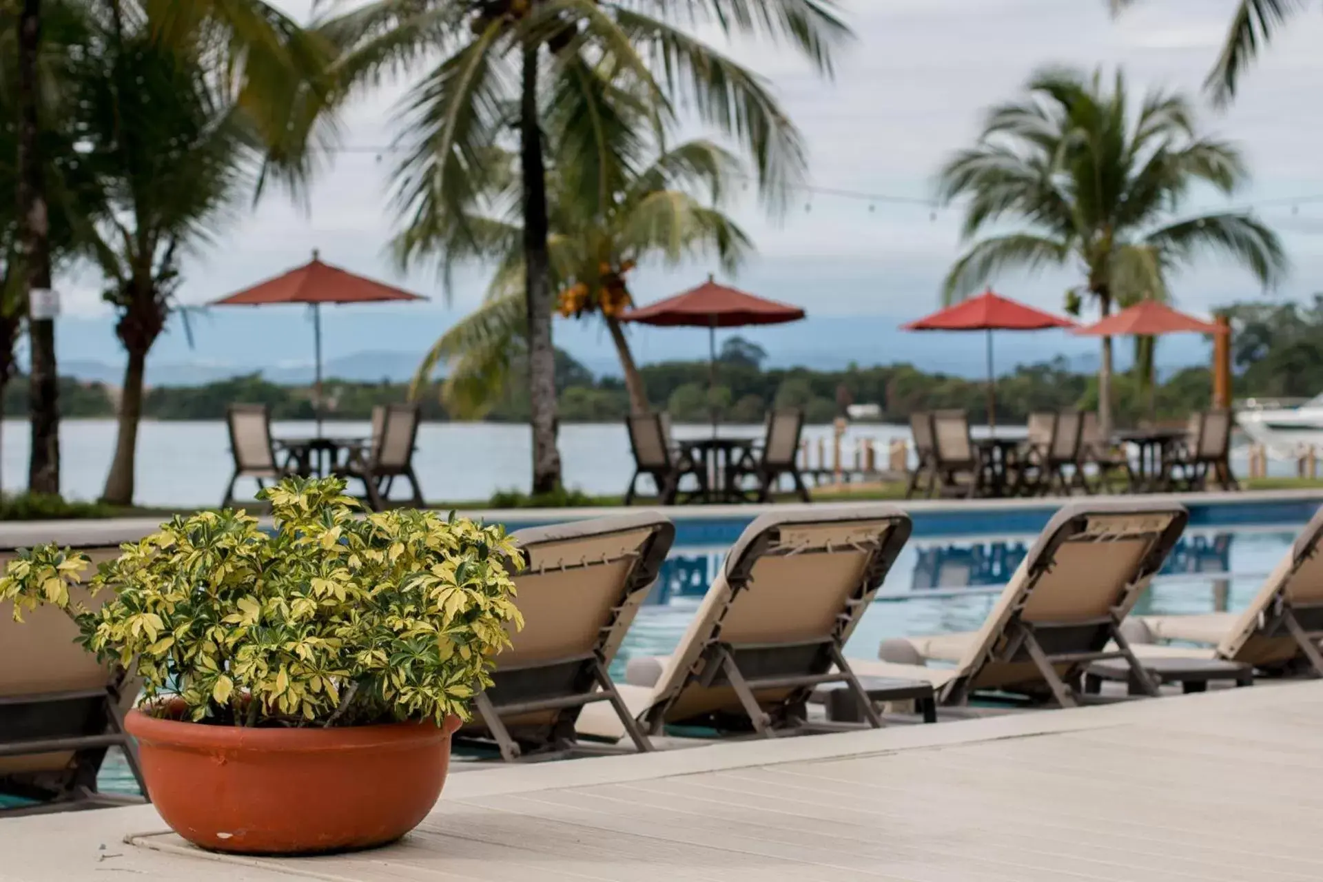 Swimming Pool in Playa Tortuga Hotel and Beach Resort