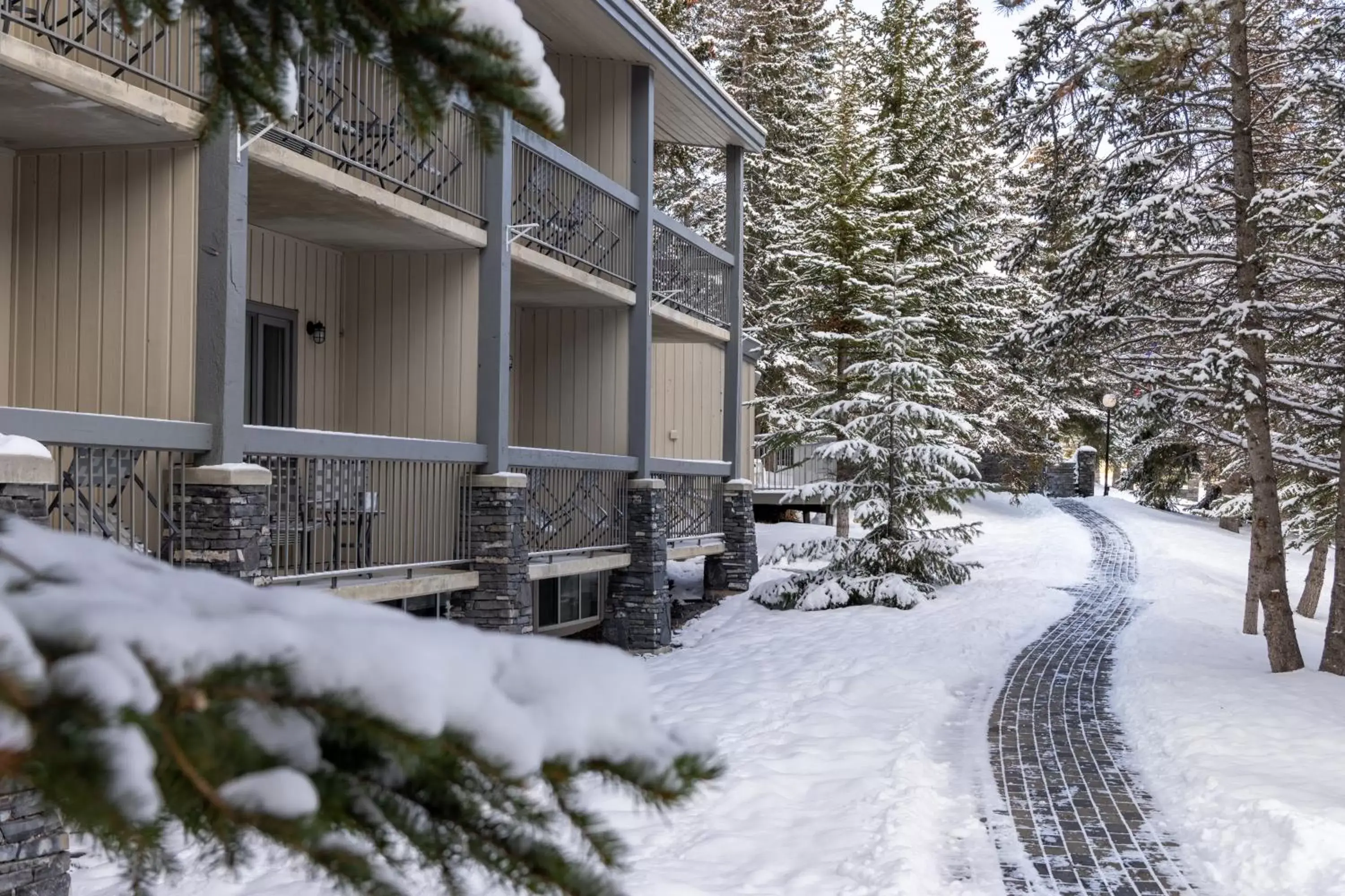 Property building, Winter in Tunnel Mountain Resort