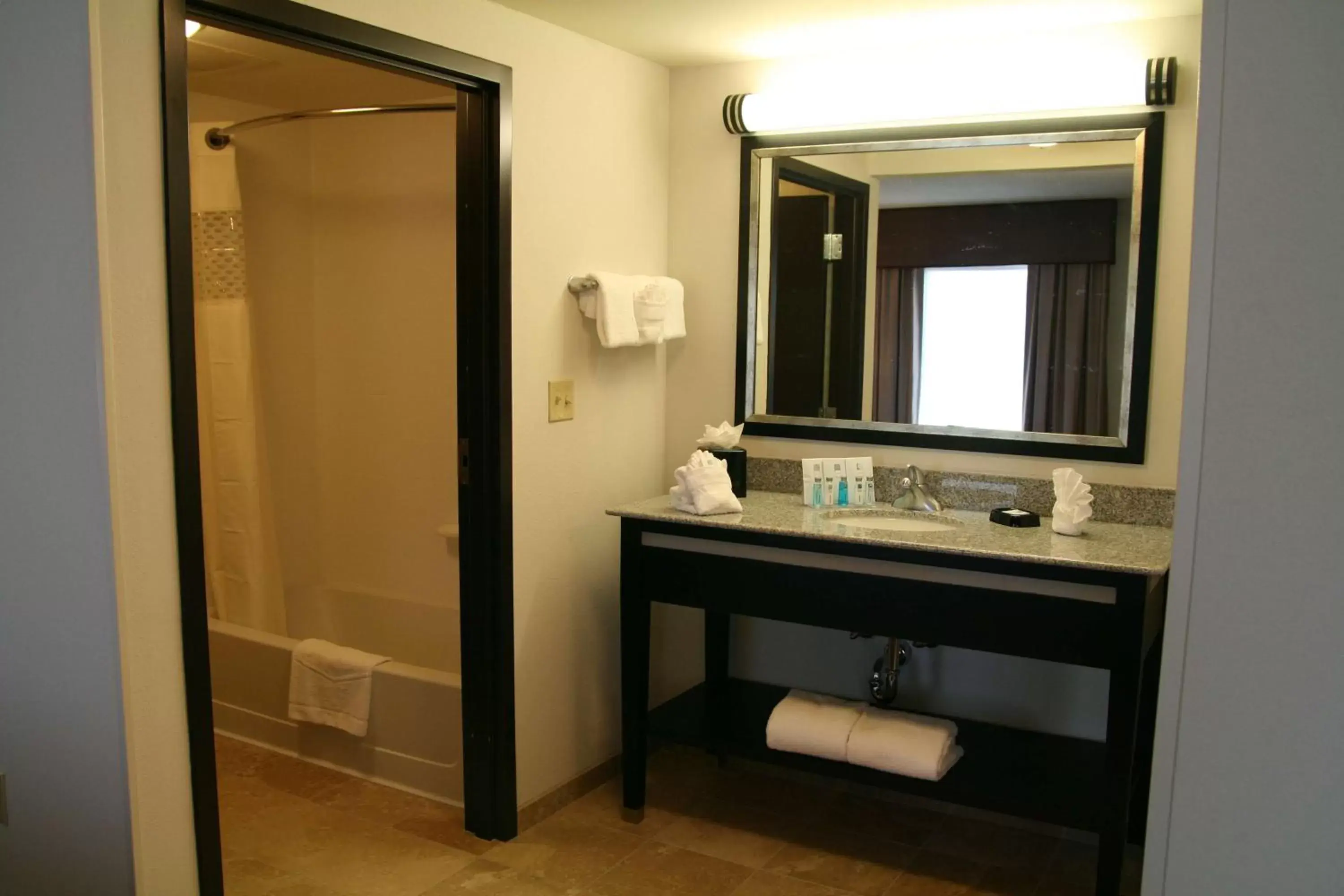 Bathroom in Hampton Inn & Suites Detroit/Airport Romulus