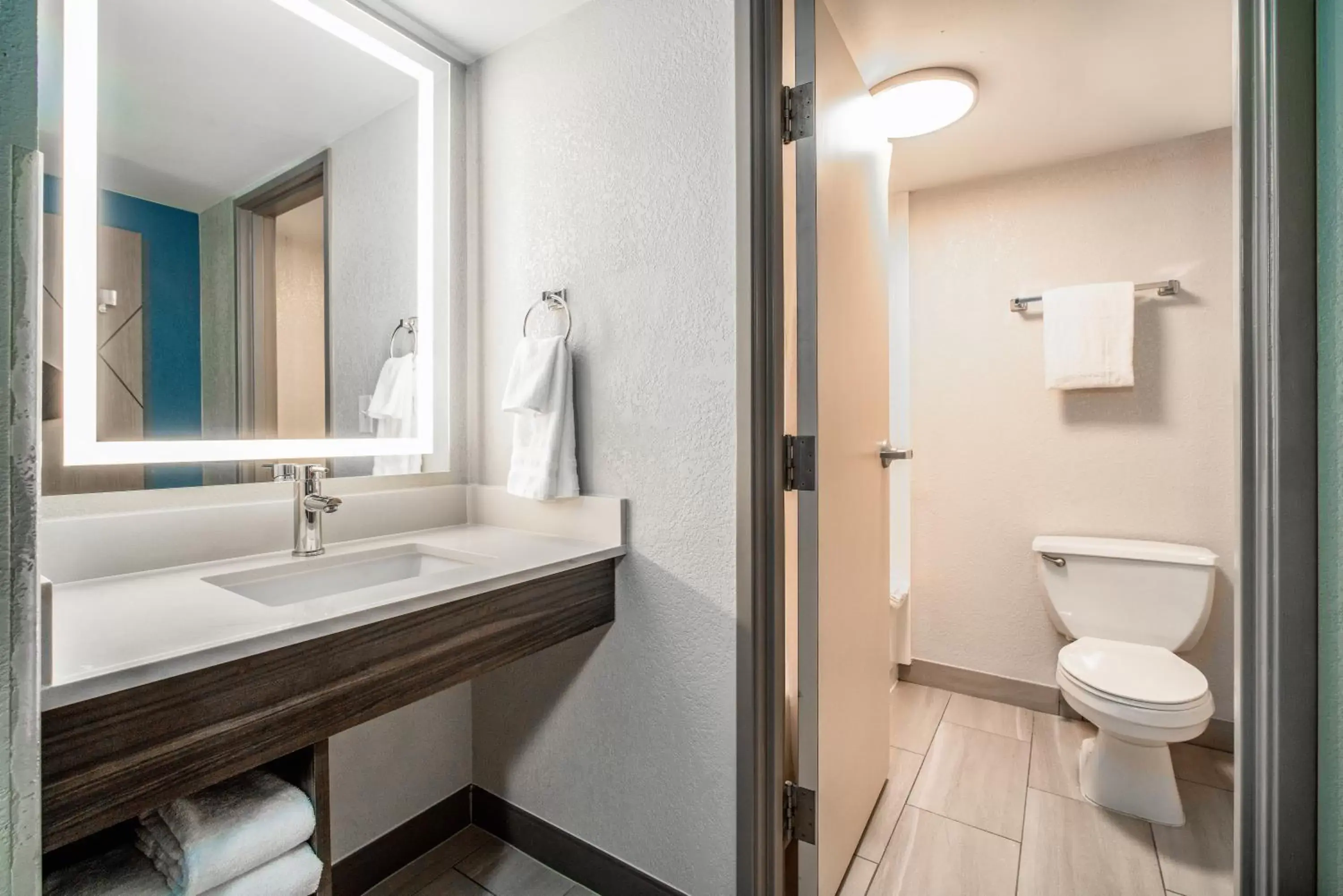 Bathroom in Holiday Inn Express & Suites Phoenix - Mesa West, an IHG Hotel