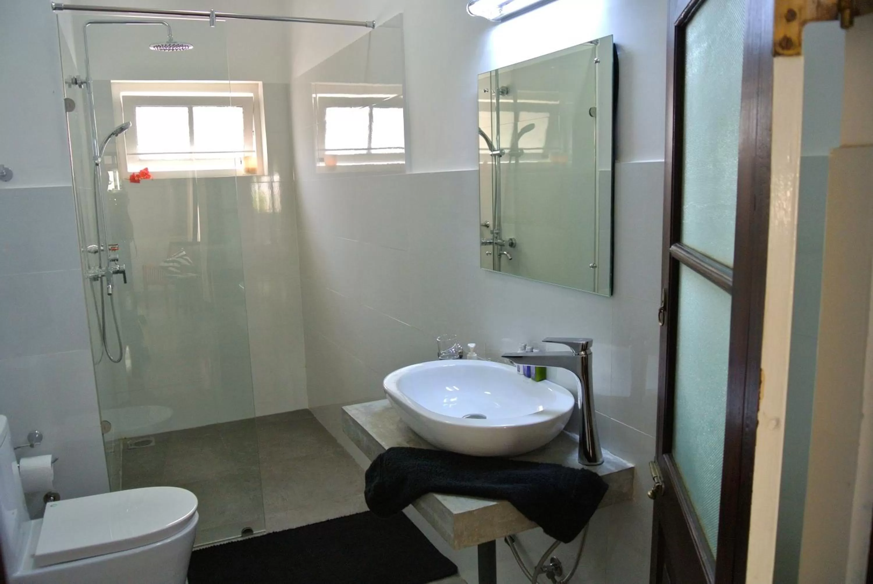 Day in "27" Spathodea- Oasis in the City