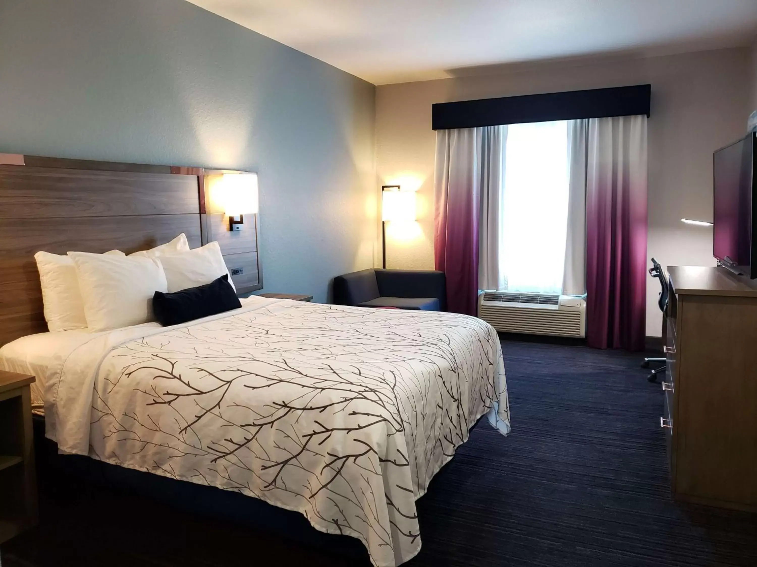 Photo of the whole room, Bed in Best Western Plus San Antonio East Inn & Suites
