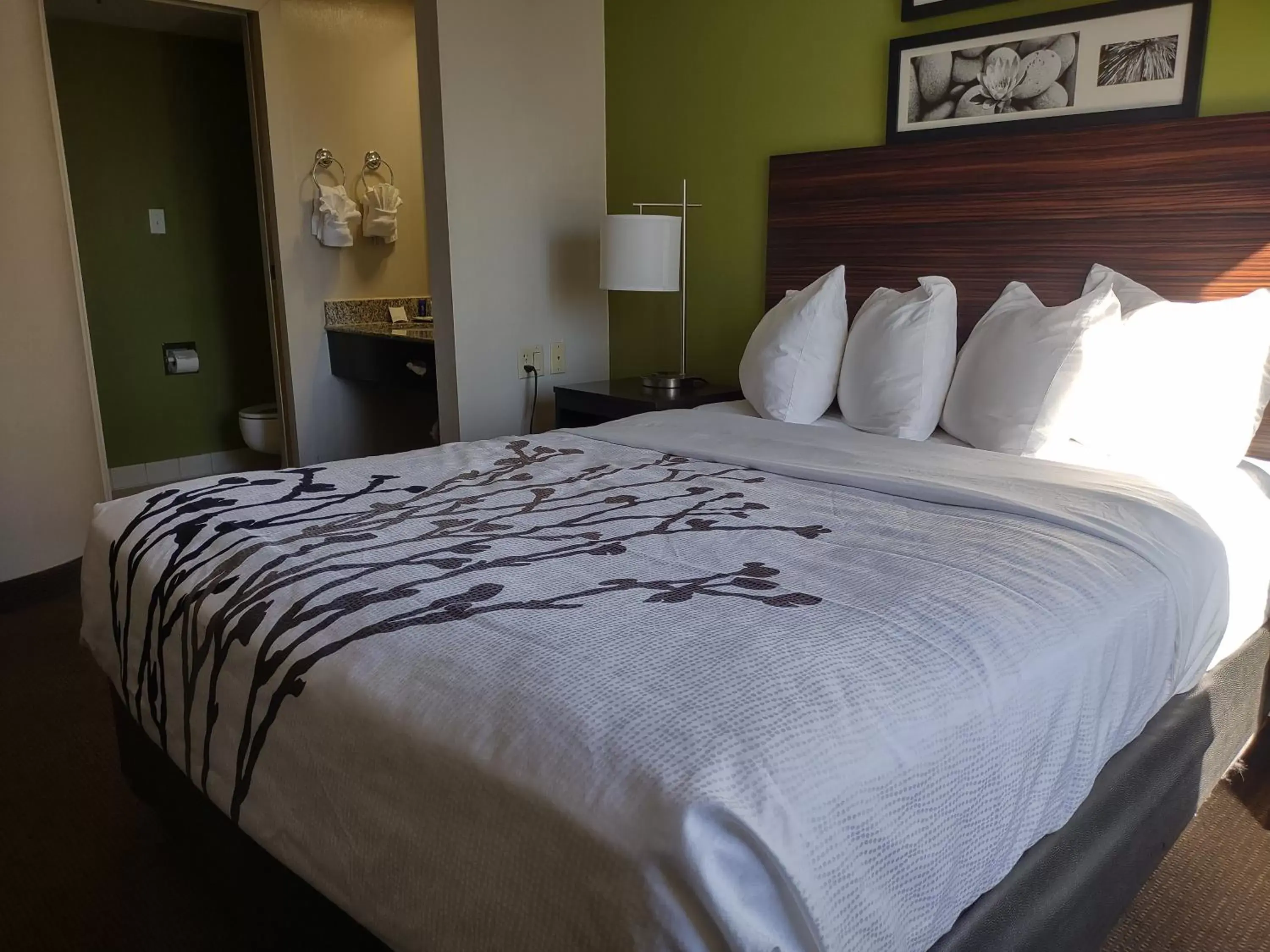 Bed in Sleep Inn Fredericksburg North Bed in Sleep Inn Fredericksburg North