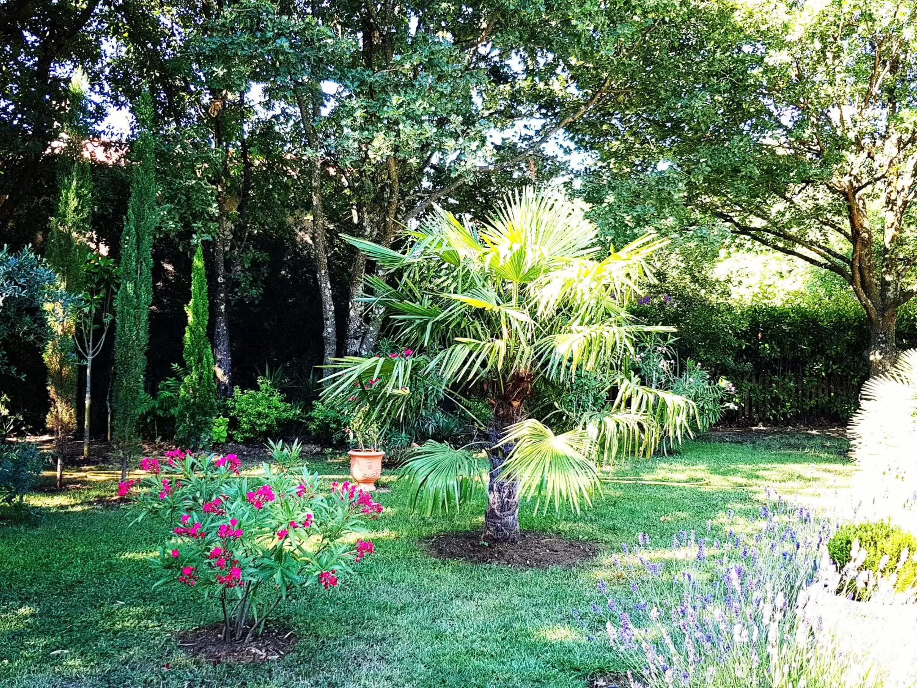 Garden view, Garden in Chambre d'Hôte Couguiolet - avec piscine