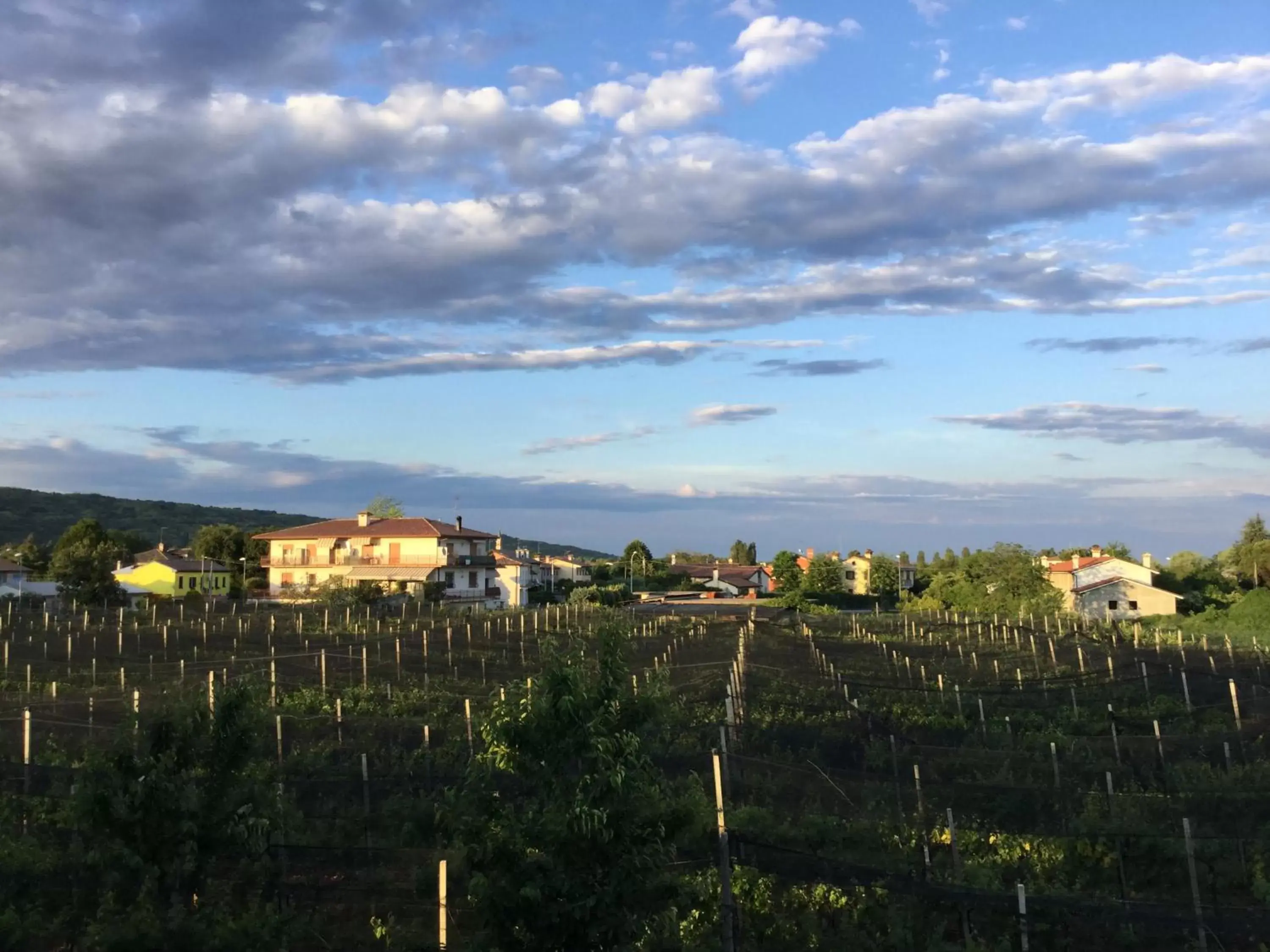 View (from property/room) in Albergo Grappolo D'oro