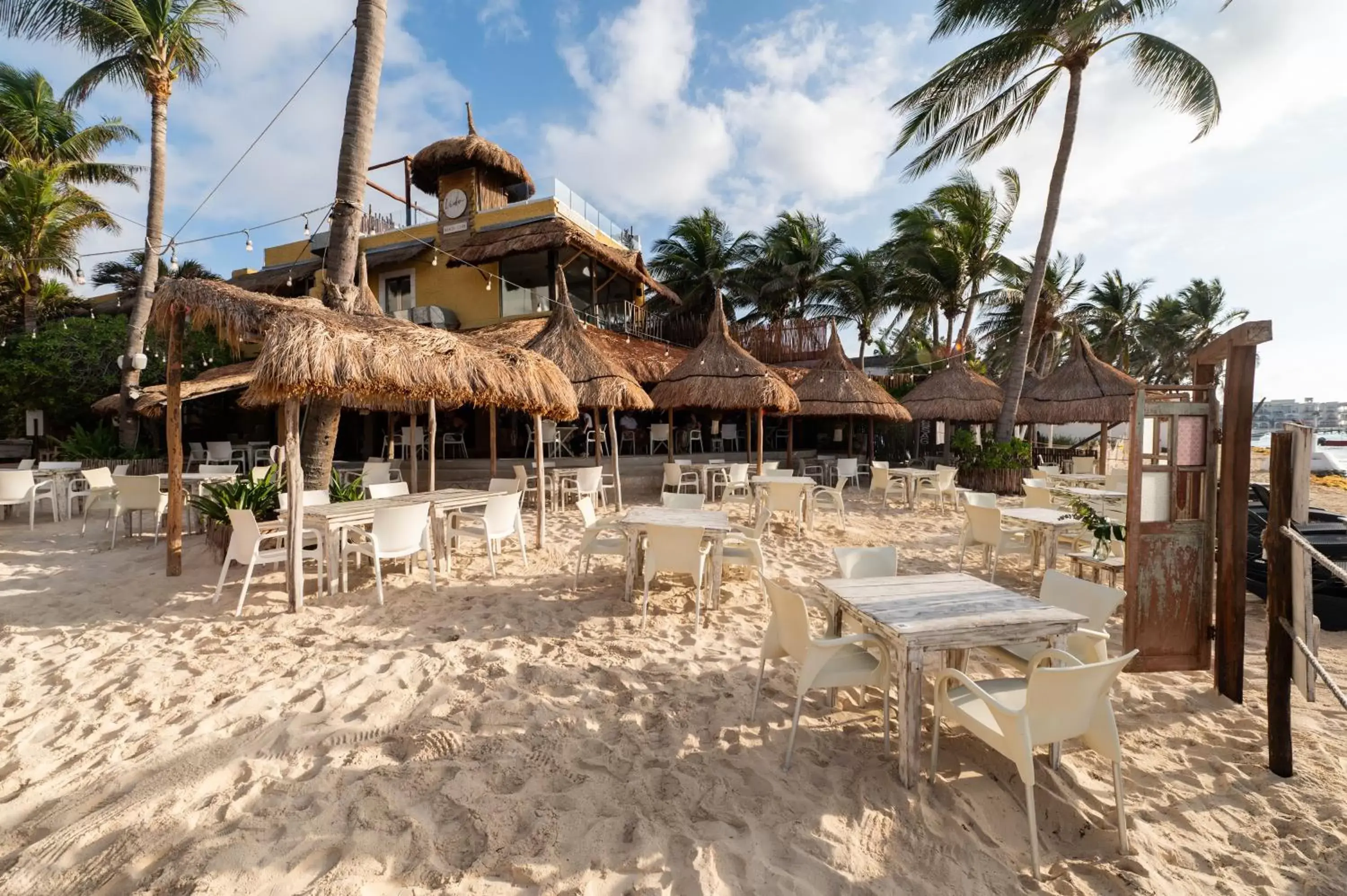 Restaurant/places to eat, Beach in Hotel Colibri Beach