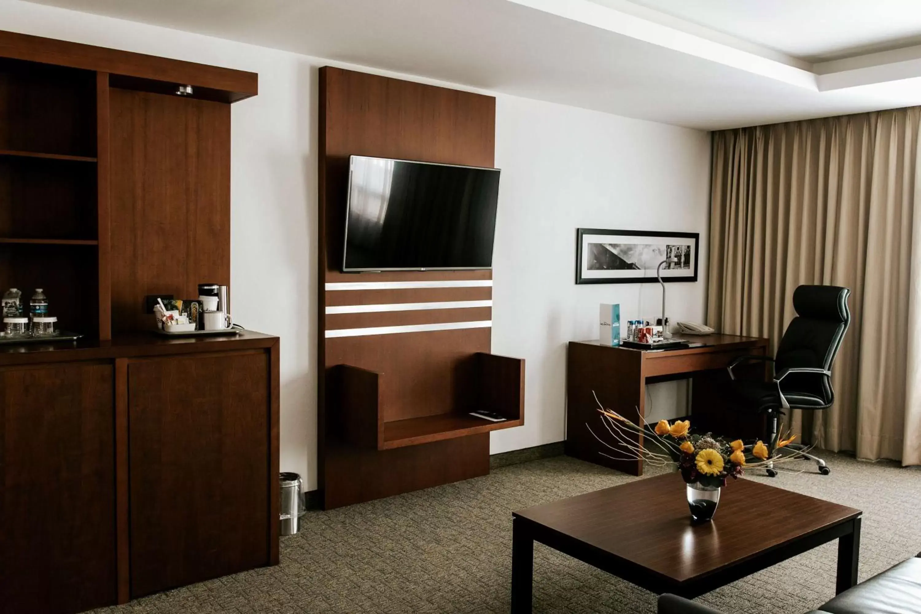 Photo of the whole room, TV/Entertainment Center in Radisson Poliforum Plaza Hotel Leon