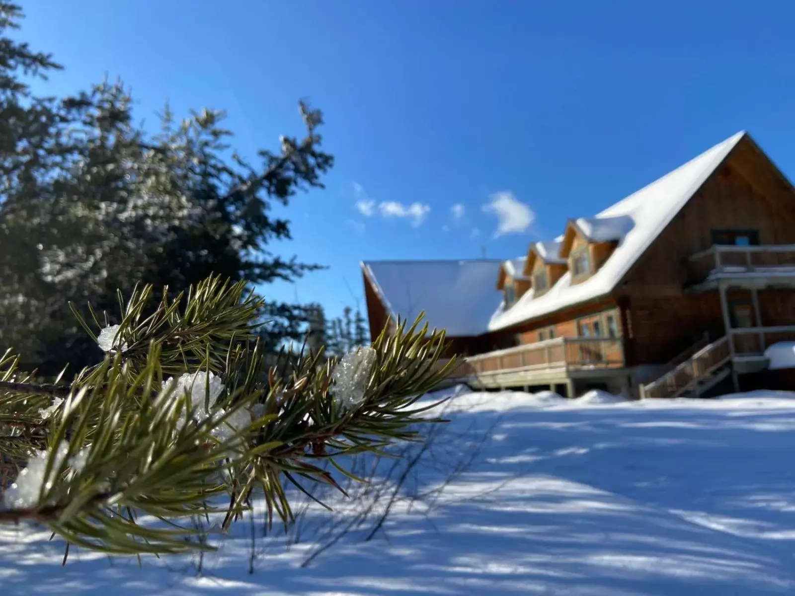 Property Building in Camp Taureau - Altaï Canada