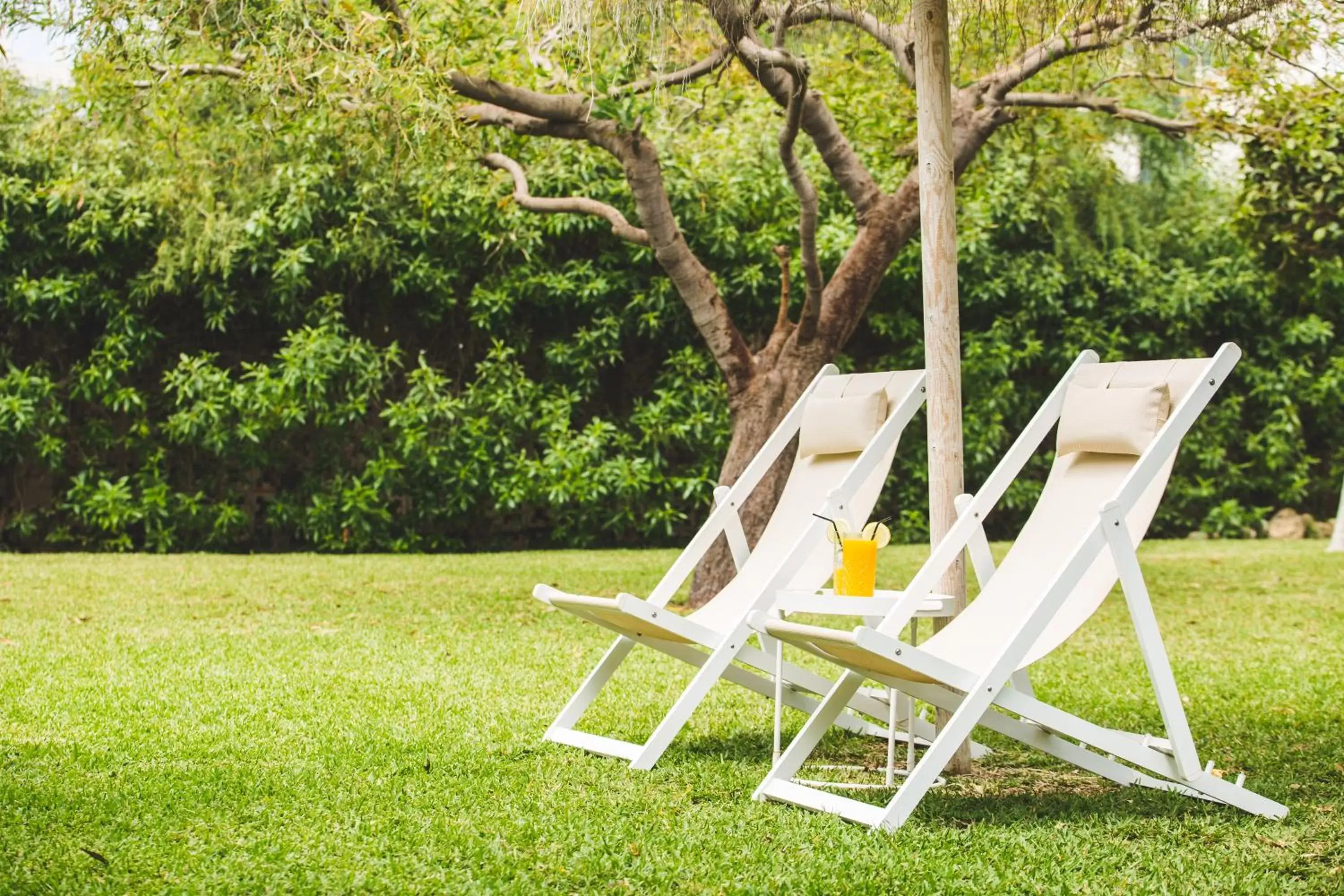 Garden in Hotel Almirante