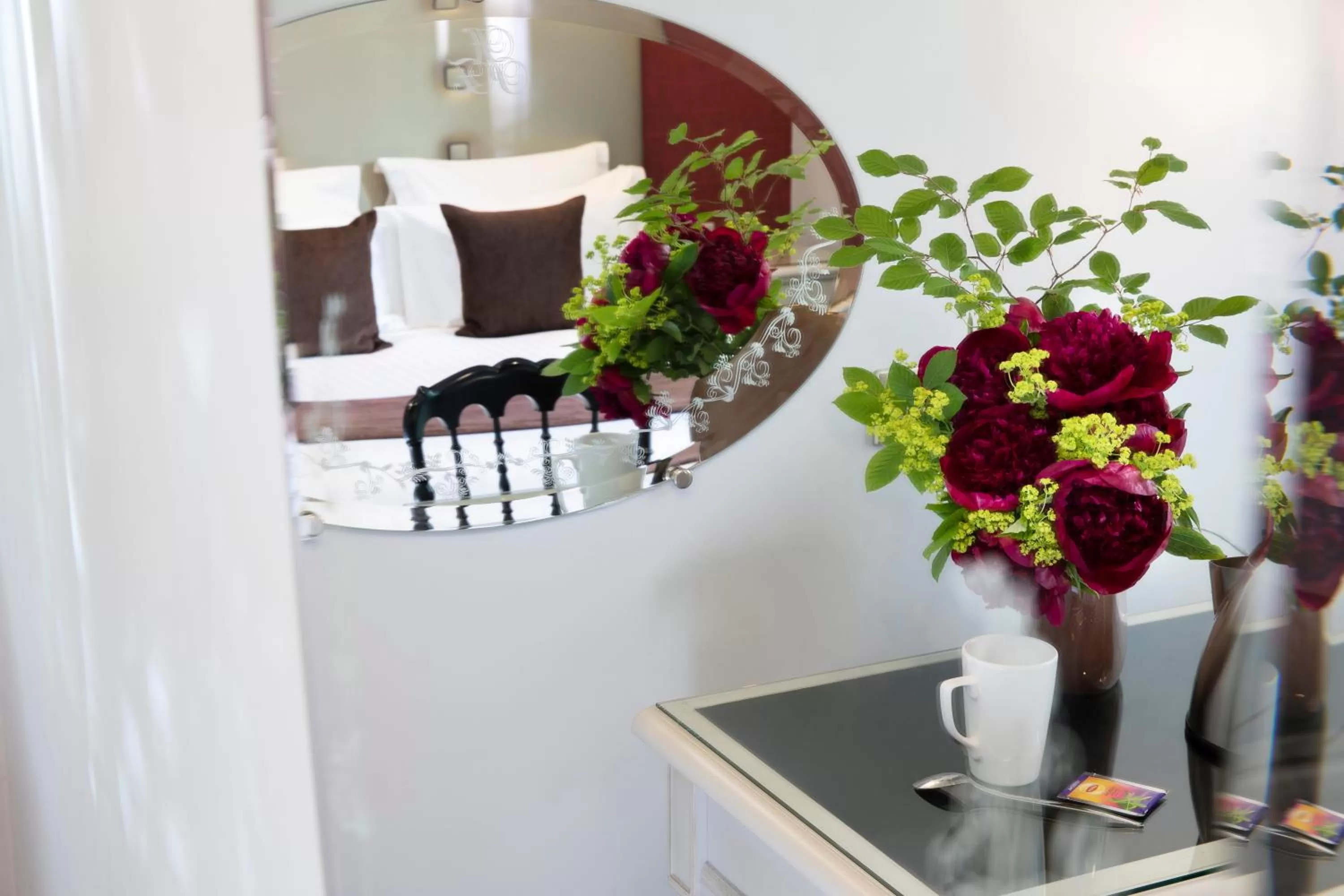 Area and facilities in Hotel Plaza Elysées