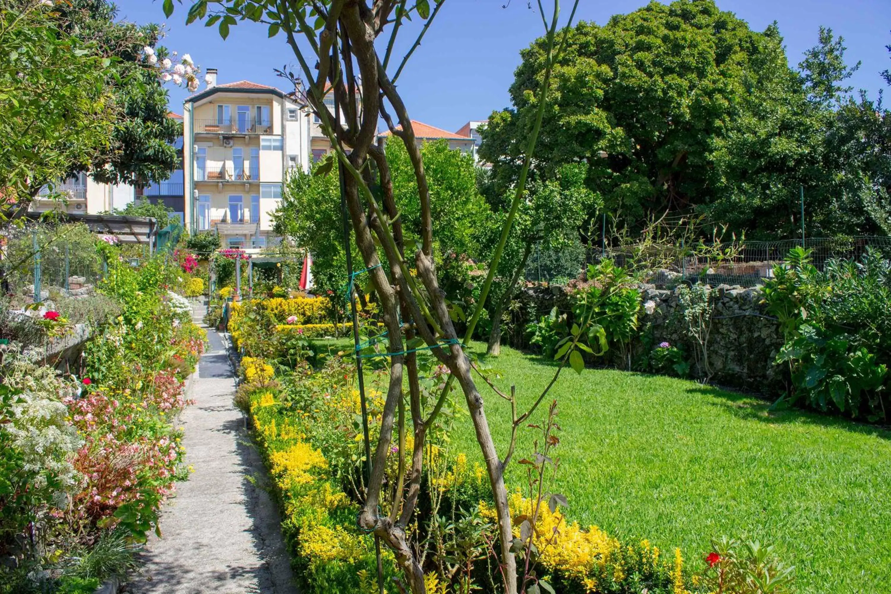 Property building, Garden in Hotel Estoril Porto