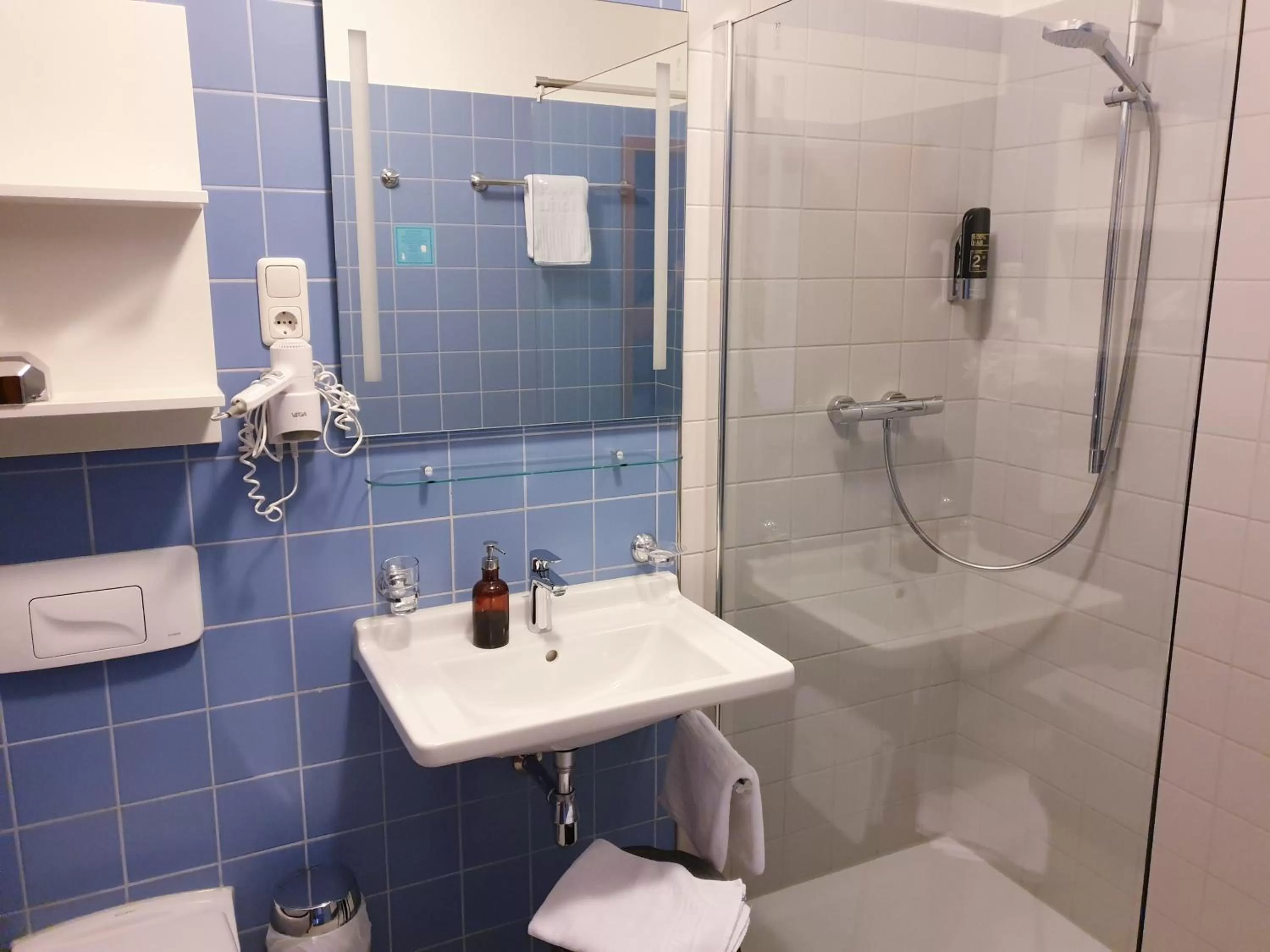 Shower in Hotel Moritz an der Elbe