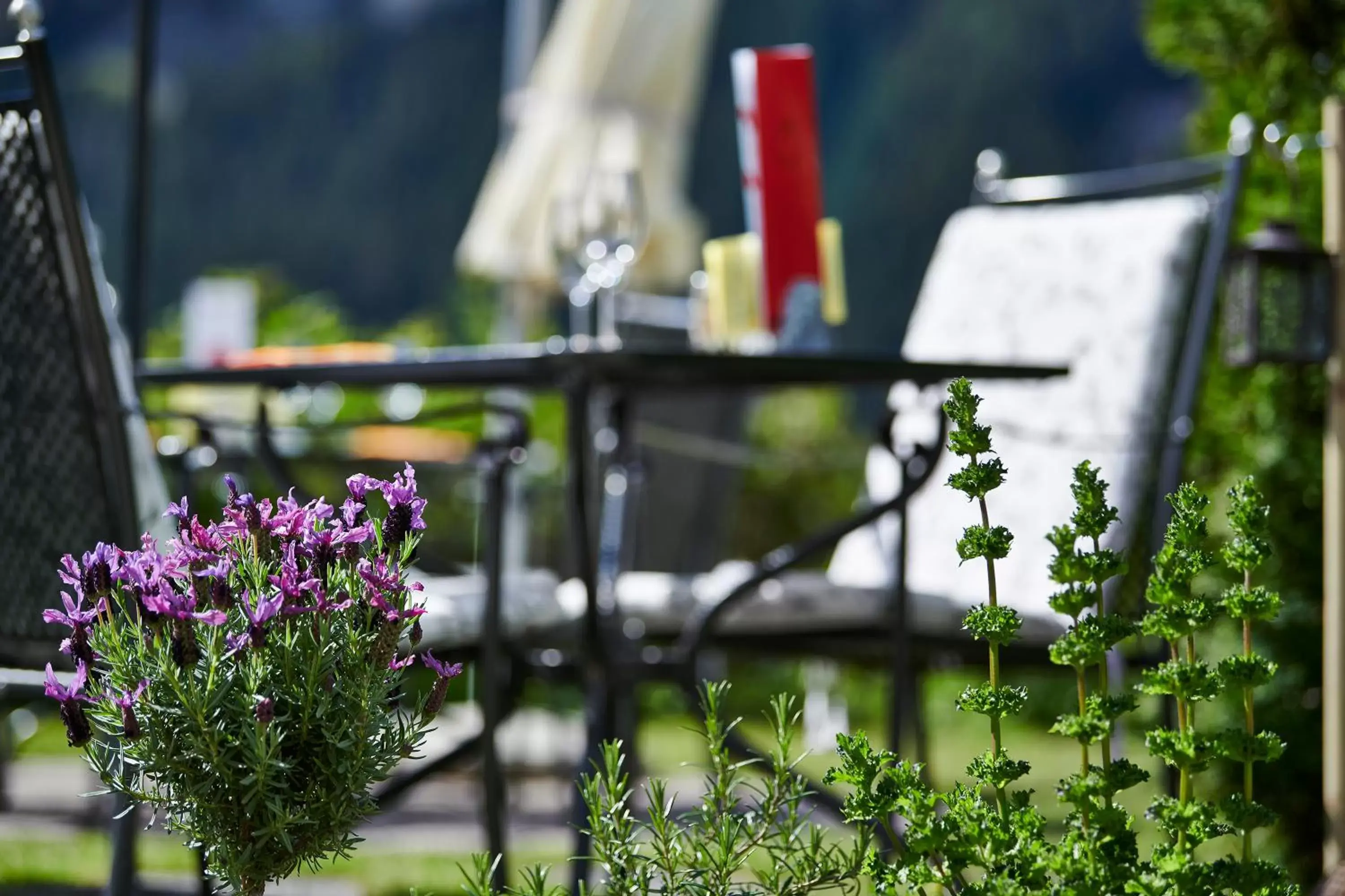 Food and drinks in Hotel Spinne Grindelwald