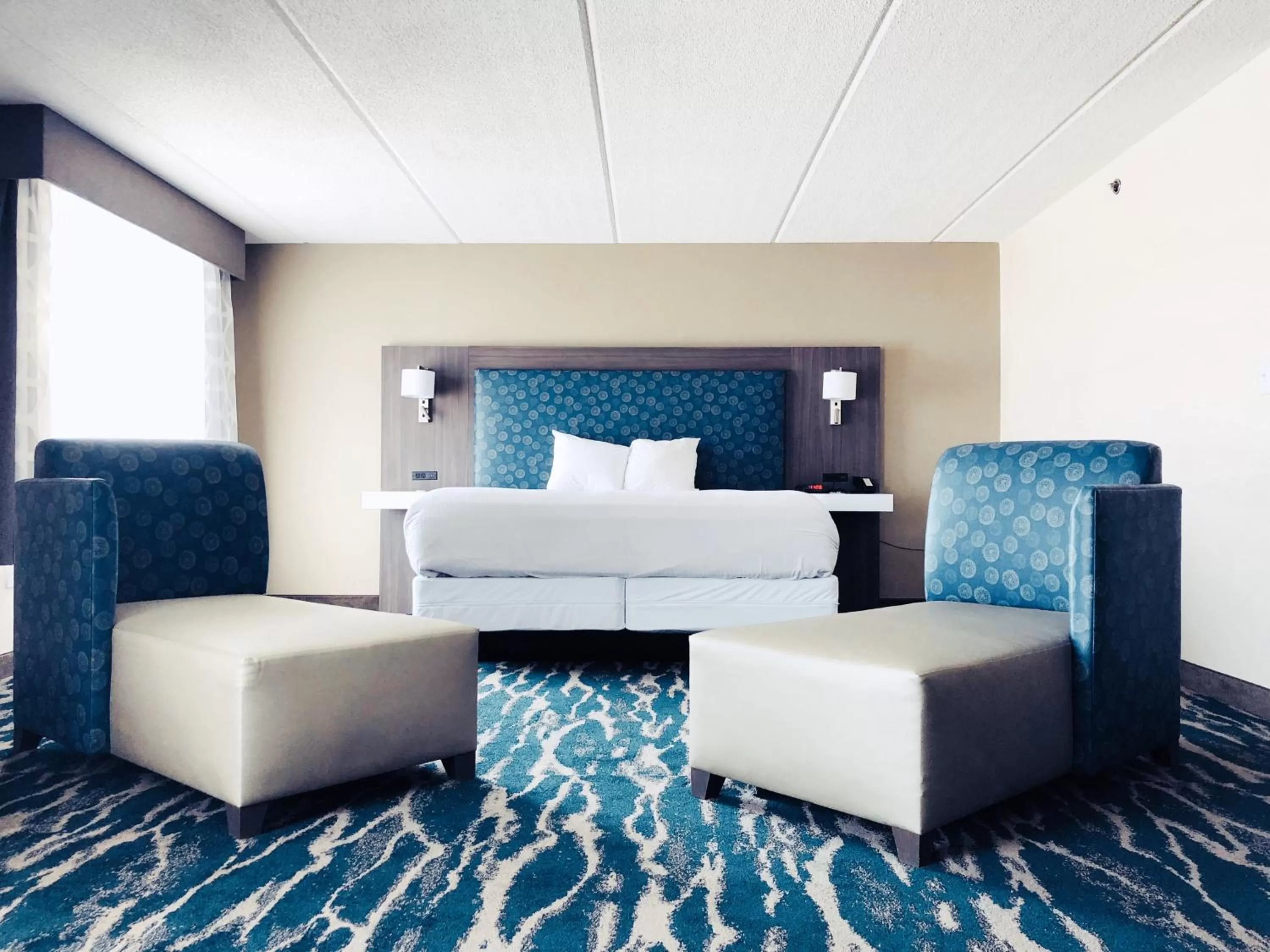 Seating area, Bed in Comfort Inn & Suites Greenville Near East Carolina University