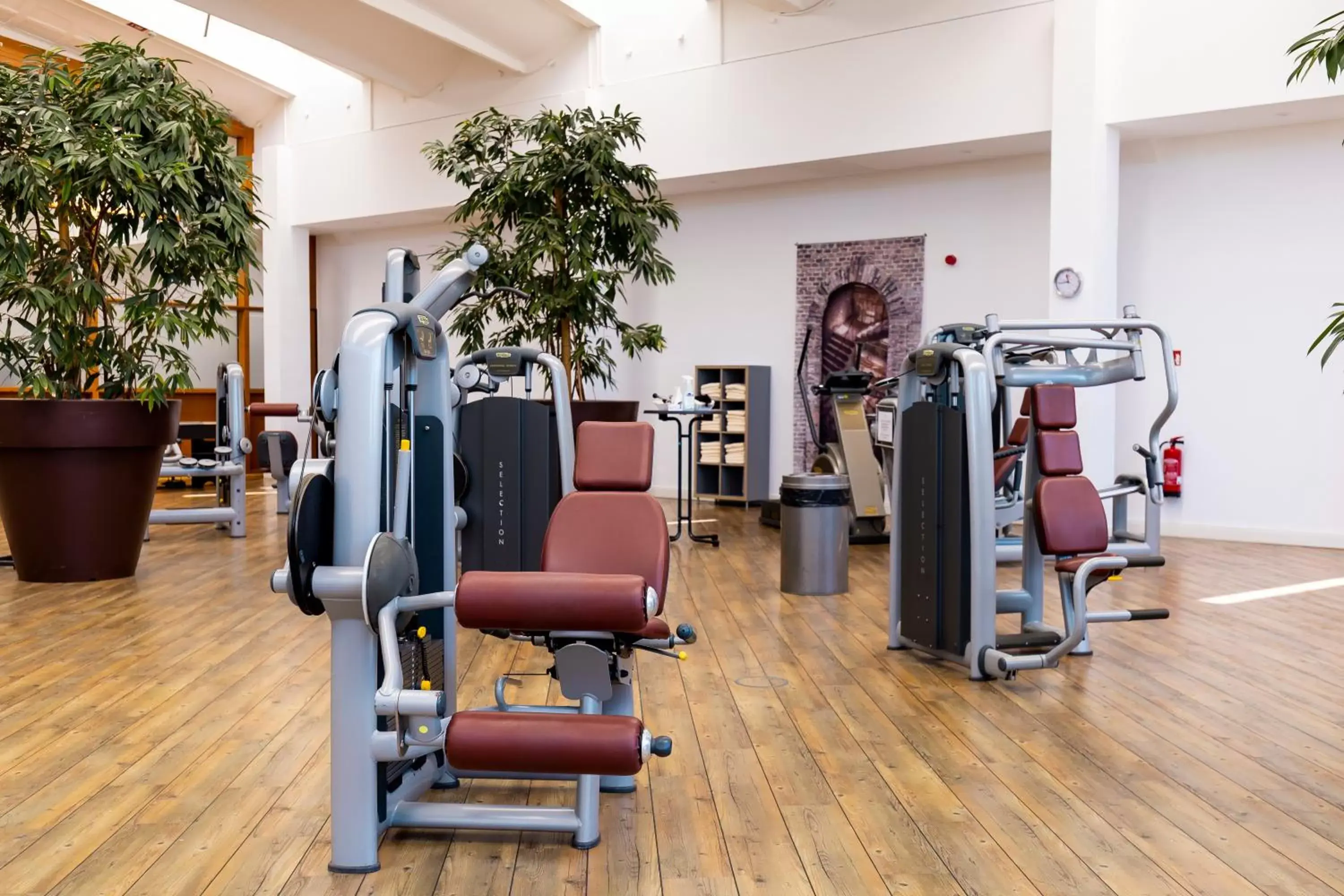 Fitness centre/facilities, Fitness Center/Facilities in Resort Hotel Vier Jahreszeiten Zingst