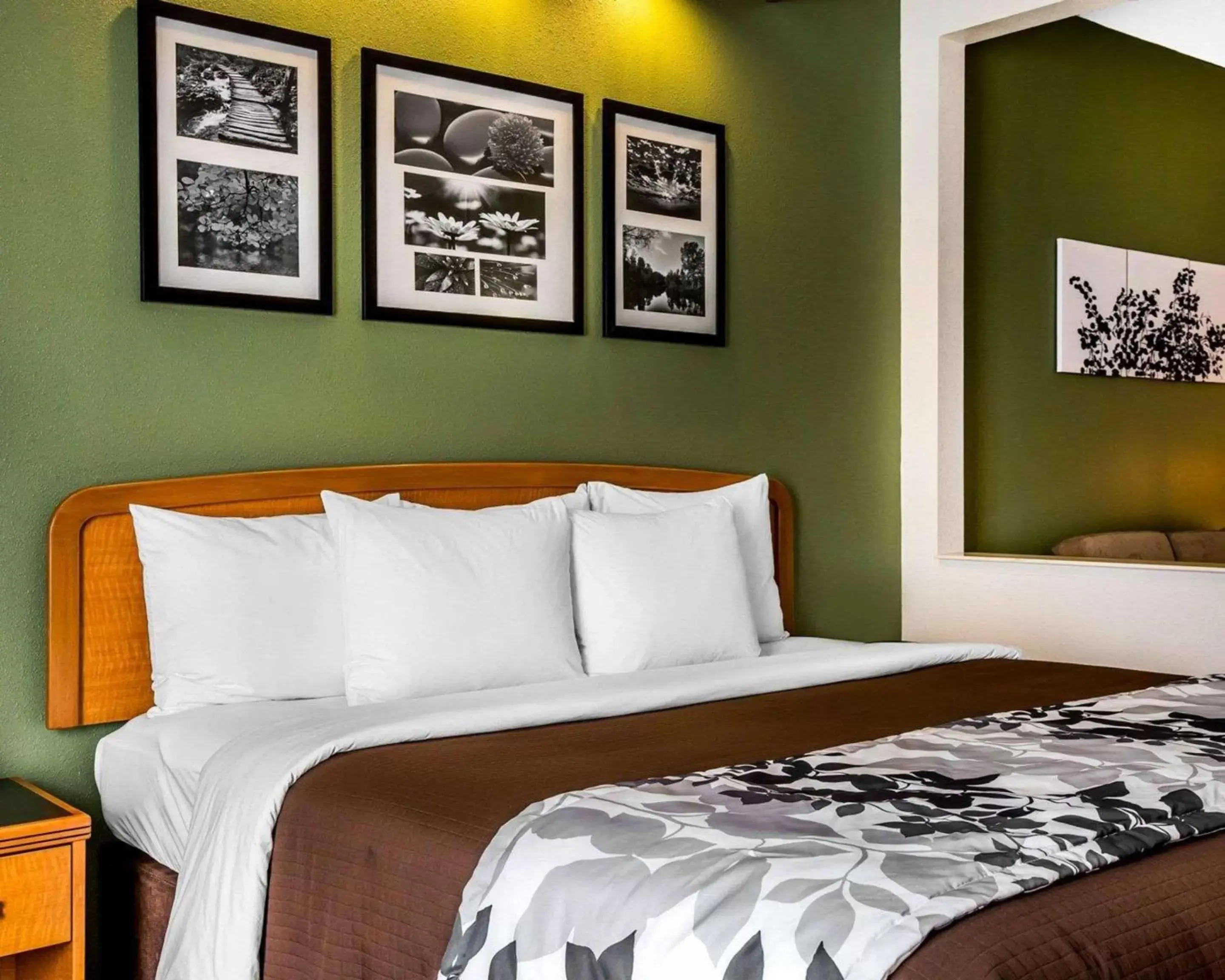 Photo of the whole room, Bed in Sleep Inn & Suites Albemarle
