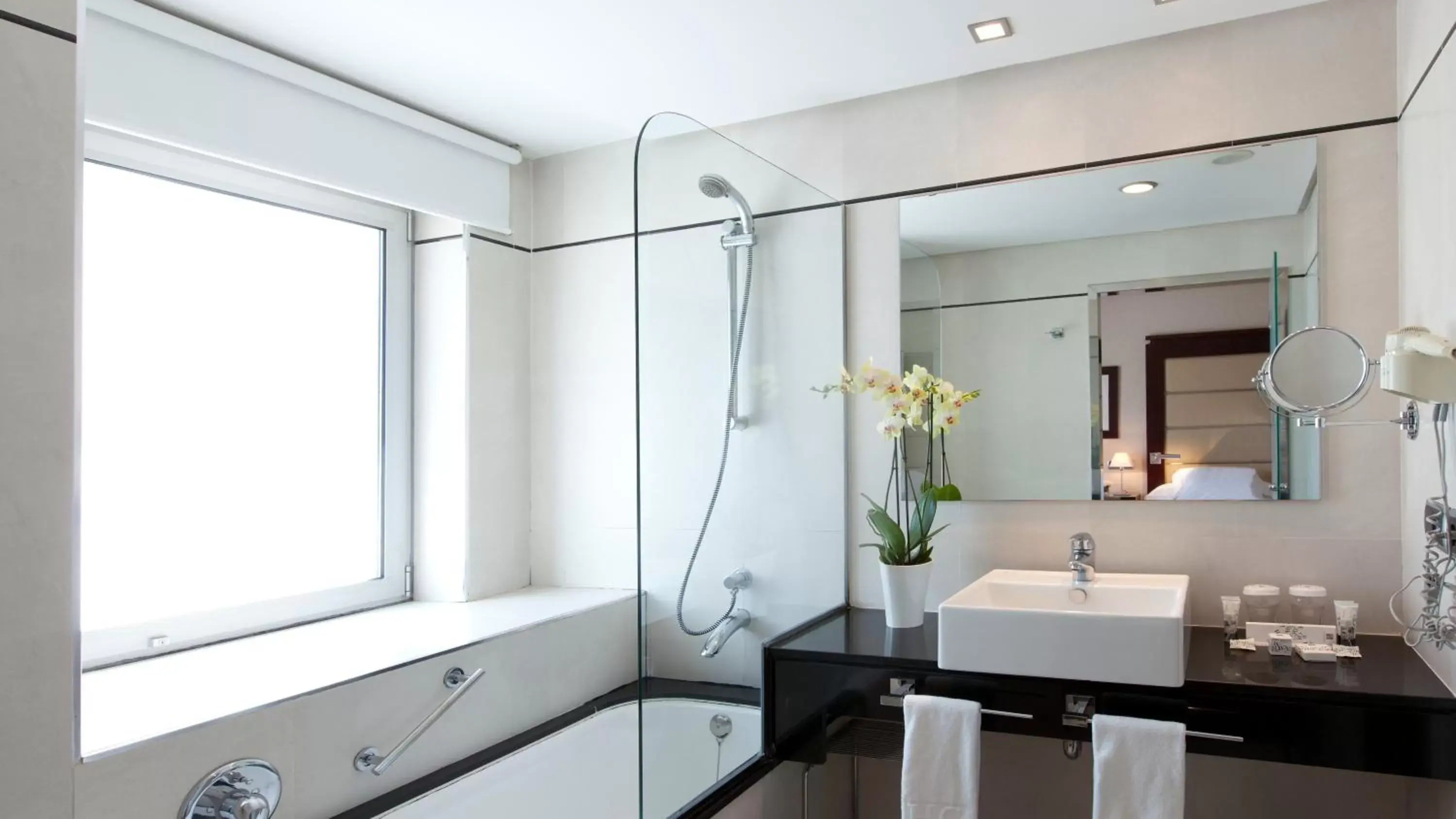 Bathroom in Hotel Andalucía Center