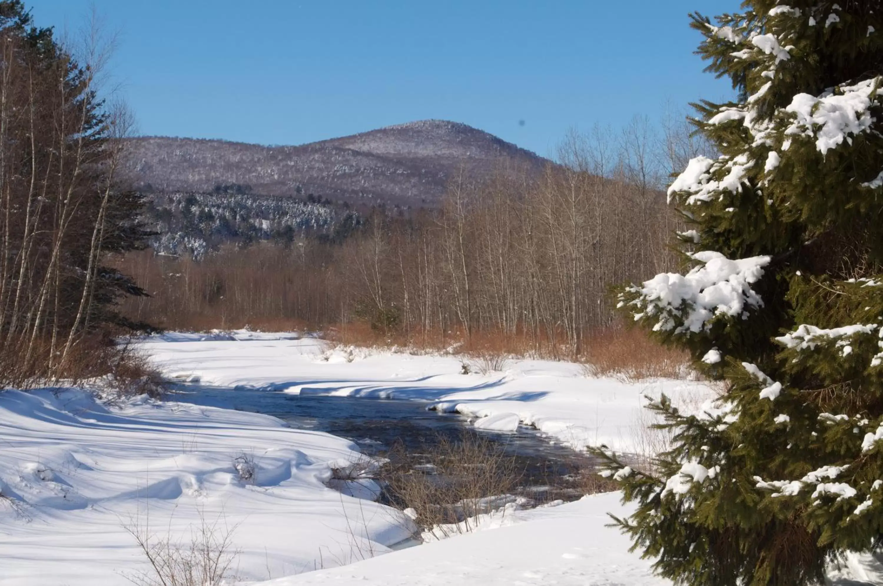 Natural landscape, Winter in Sun & Ski Inn and Suites