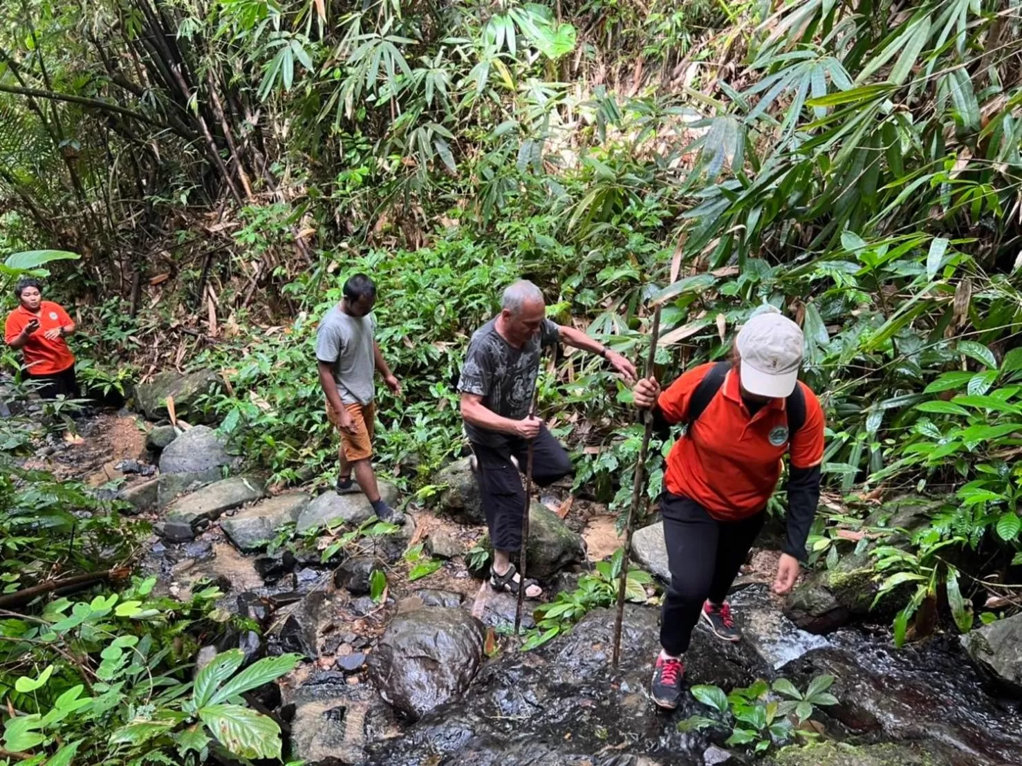 Khaosok Rainforest Resort