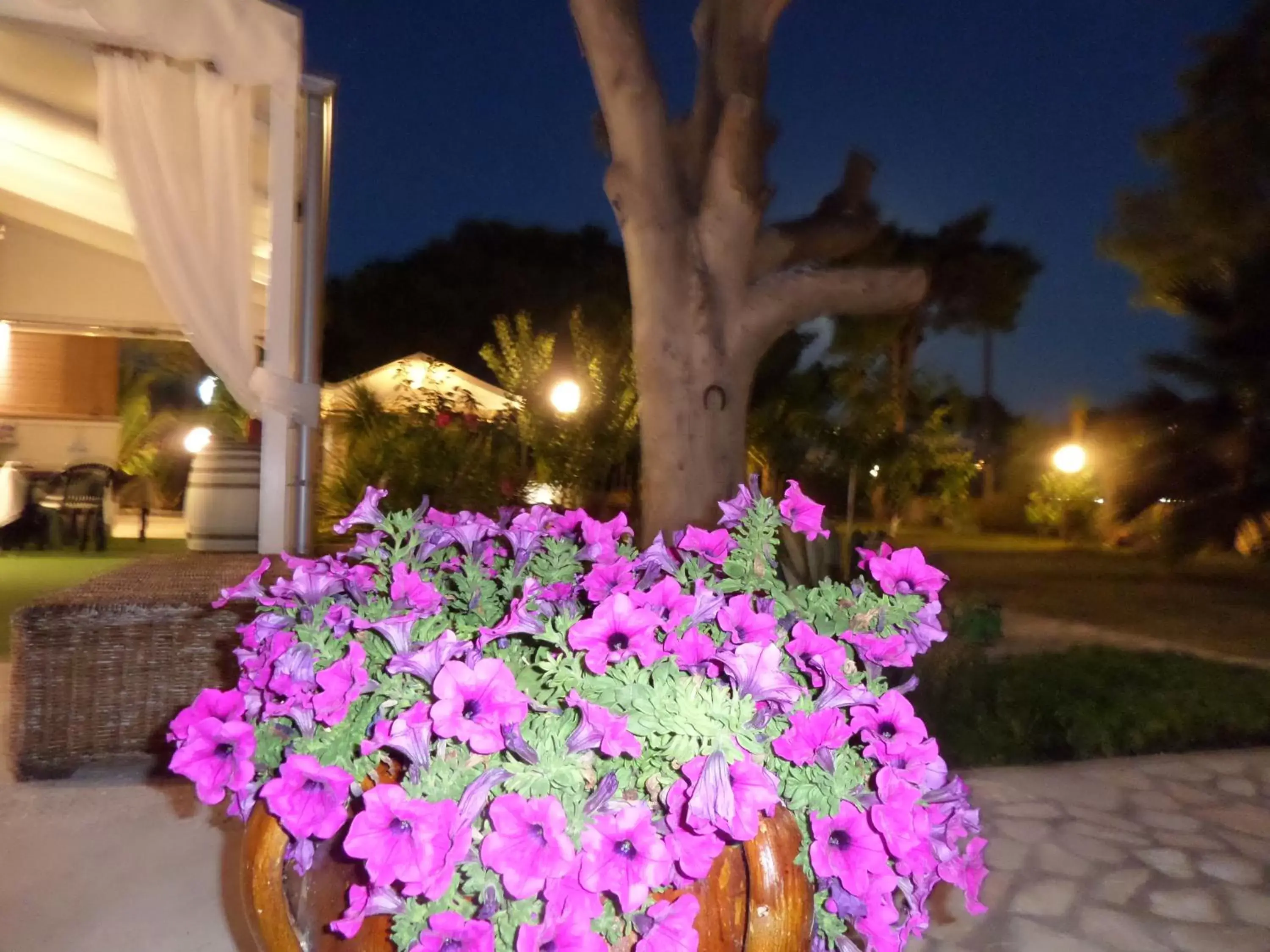 Garden view in Villa Soleanna Residence