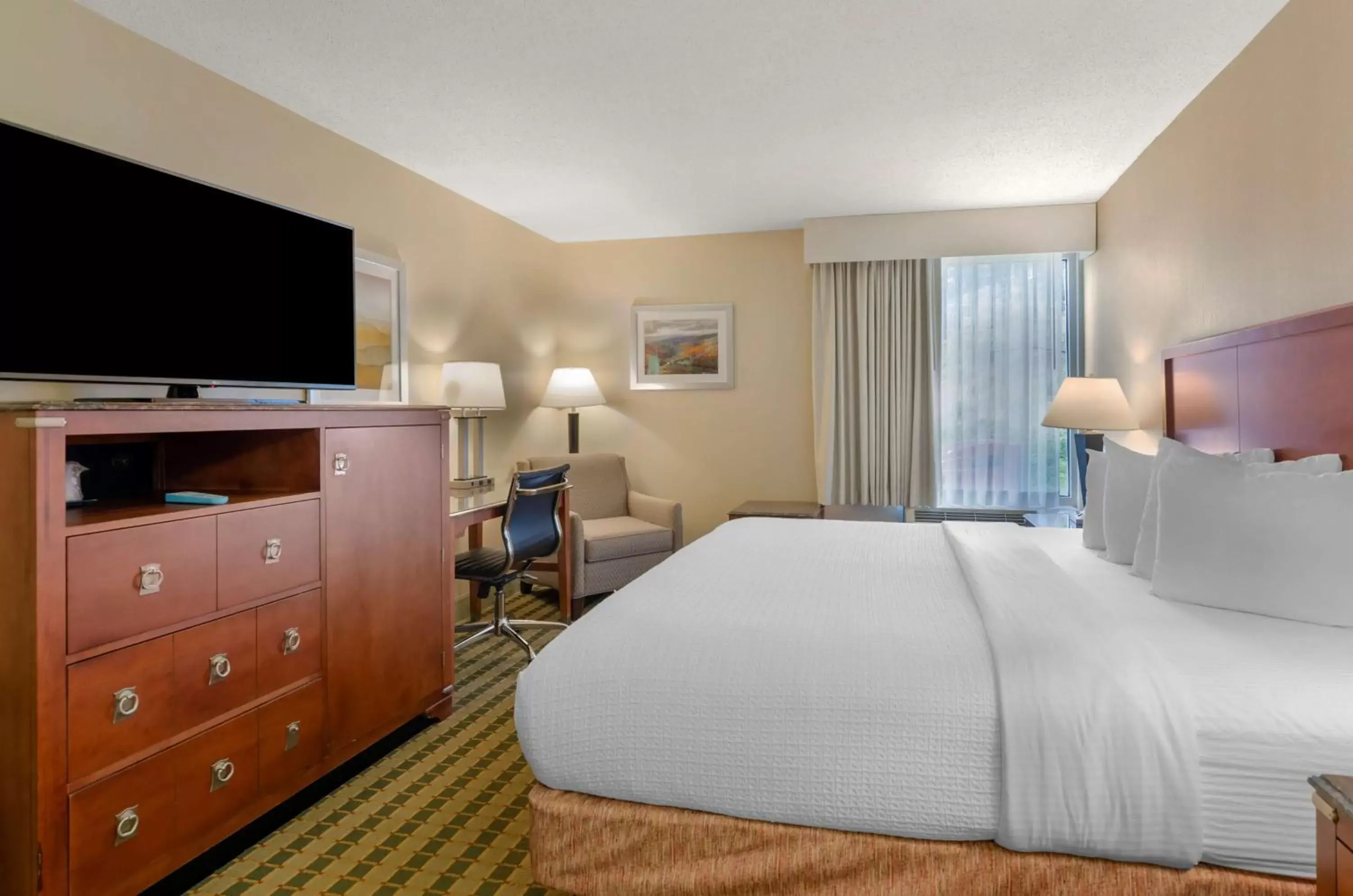 Bedroom, TV/Entertainment Center in Best Western North Roanoke